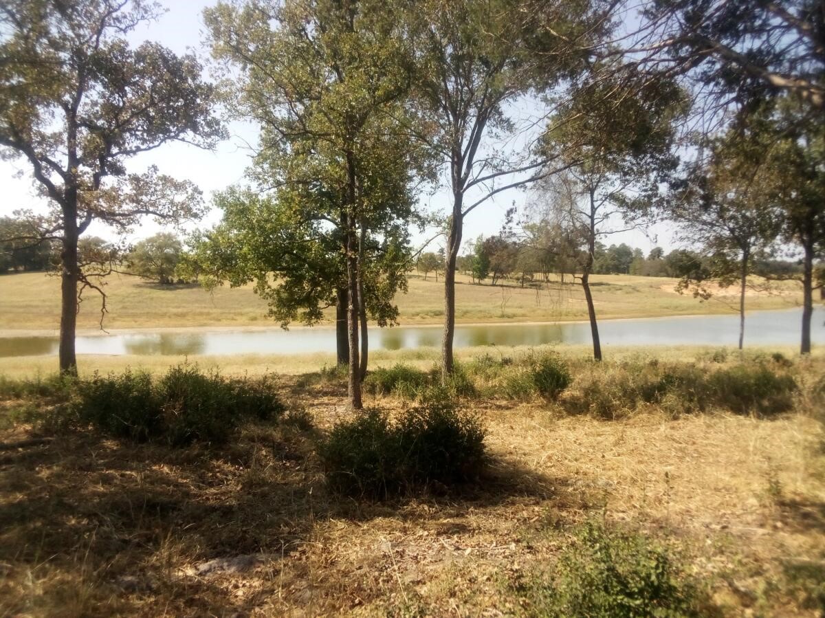 Tr 7 Tbd Pr 1311 Property Photo 9