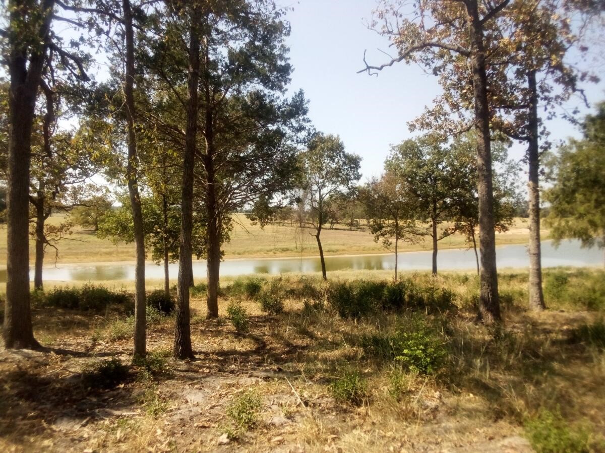 Tr 7 Tbd Pr 1311 Property Photo 10