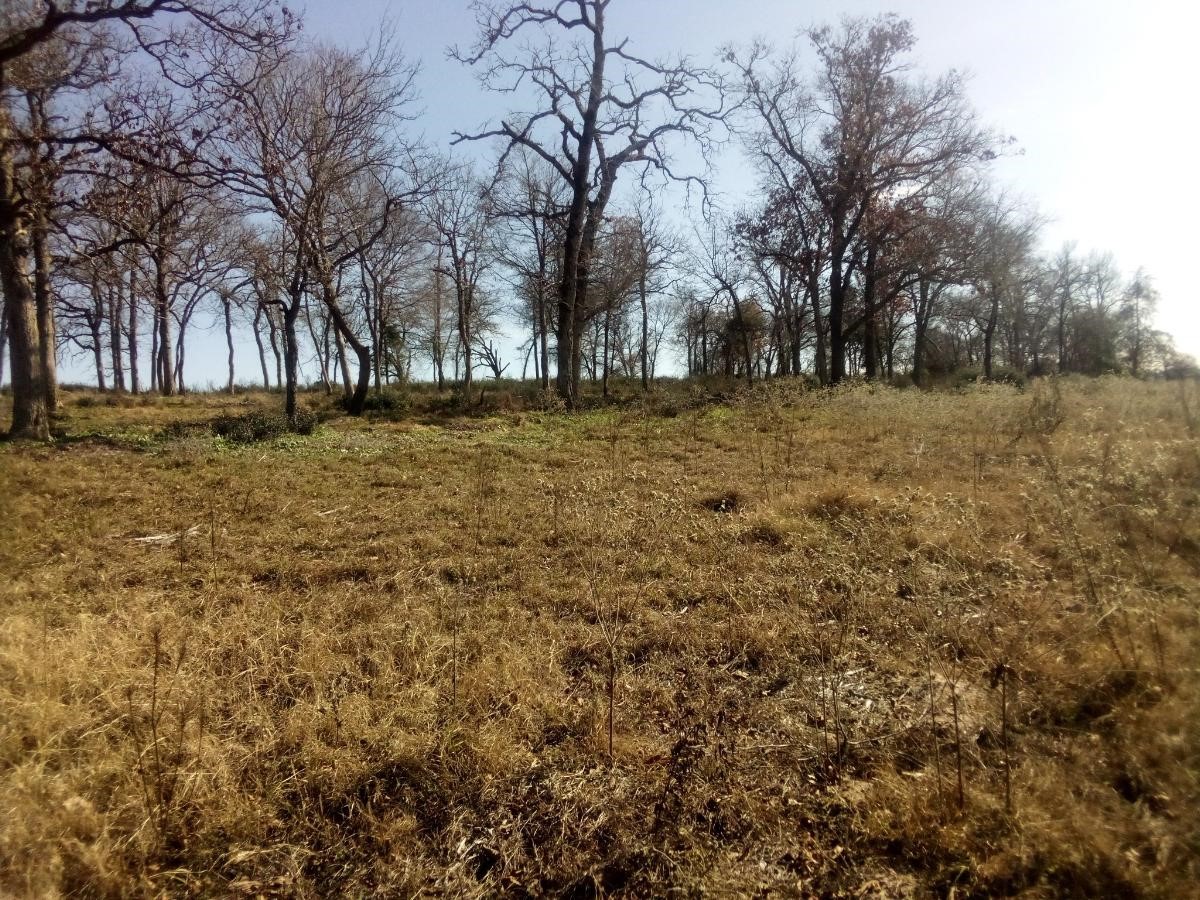 Tr 7 Tbd Pr 1311 Property Photo 12