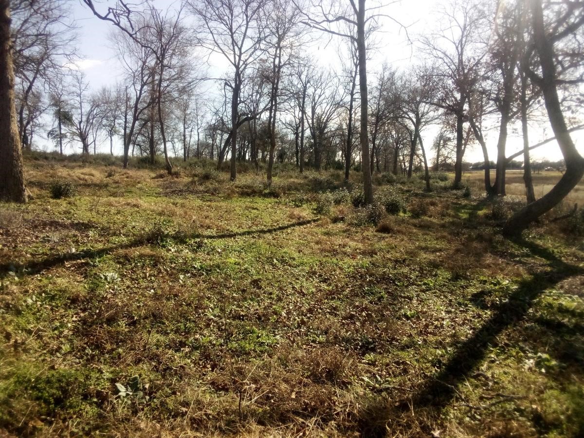 Tr 7 Tbd Pr 1311 Property Photo 13