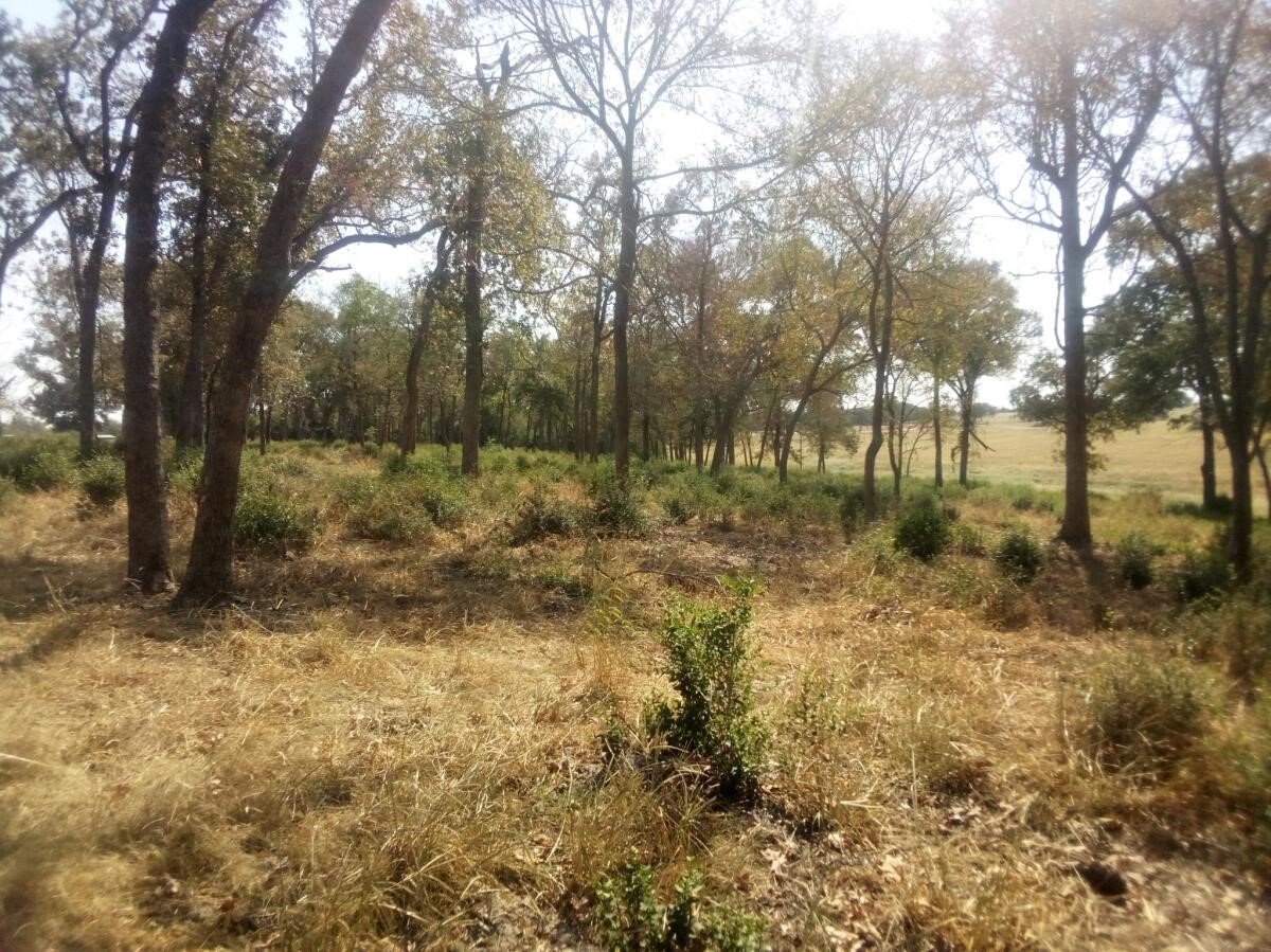 Tr 7 Tbd Pr 1311 Property Photo 14