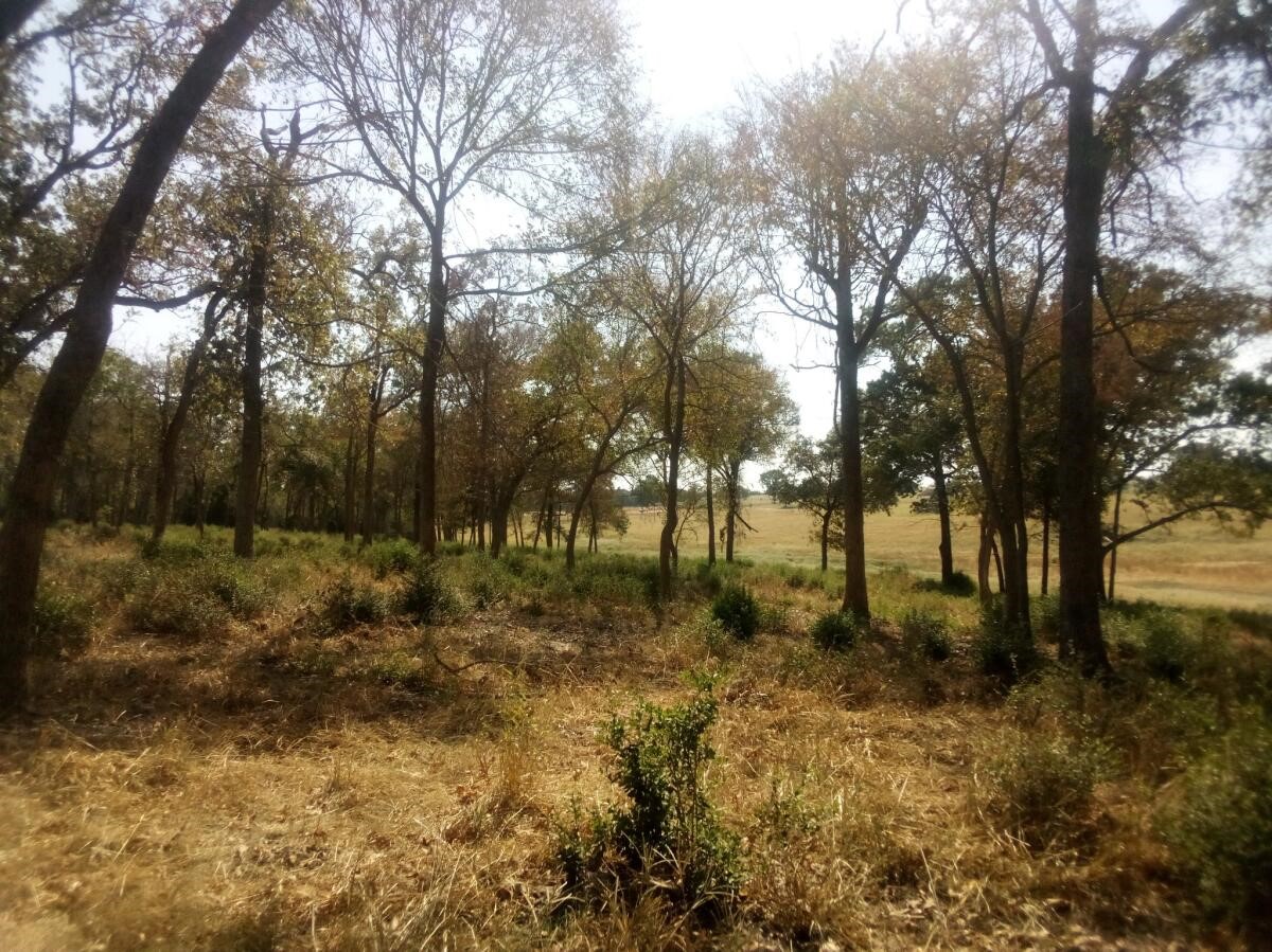 Tr 7 Tbd Pr 1311 Property Photo 15