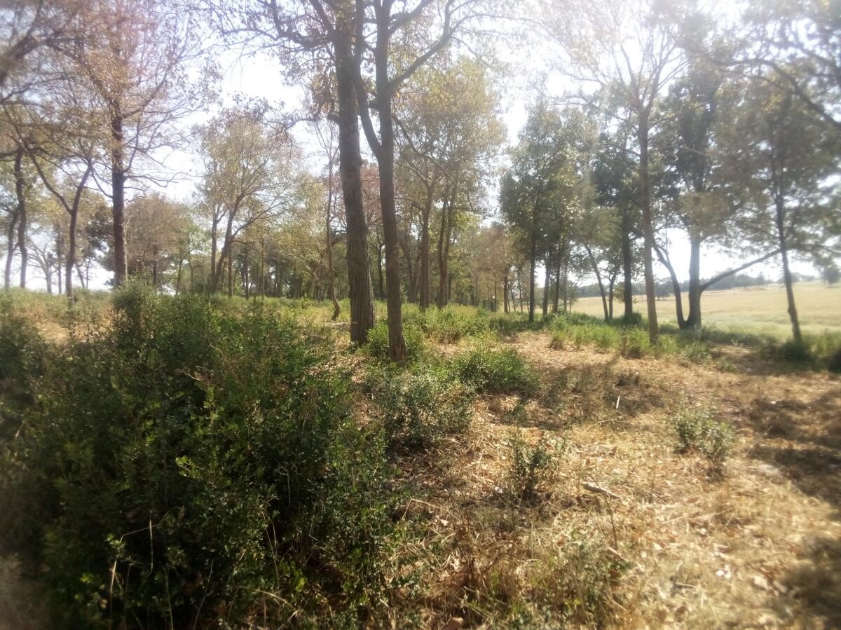 Tr 7 Tbd Pr 1311 Property Photo 16