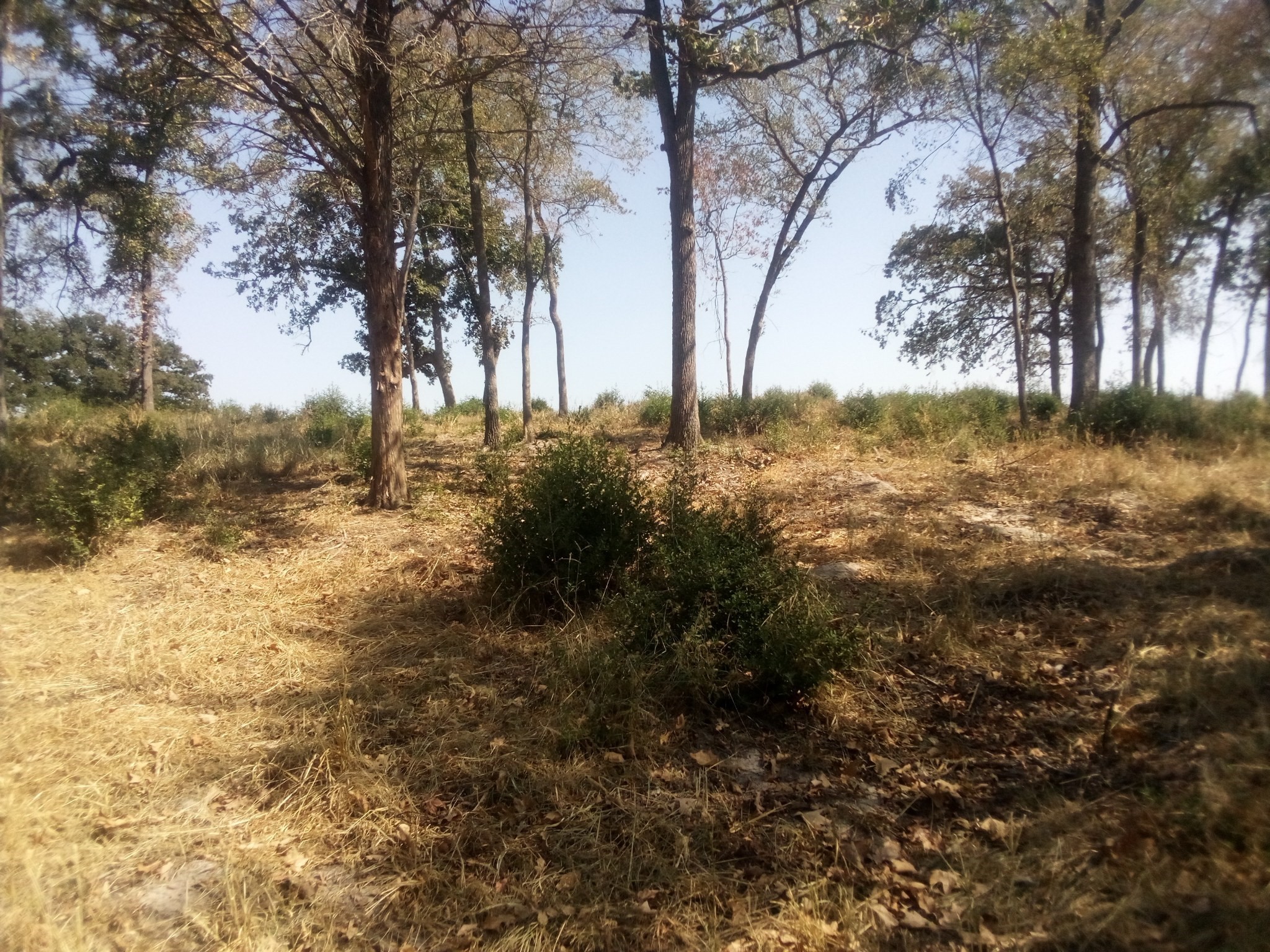 Tr 7 Tbd Pr 1311 Property Photo 17
