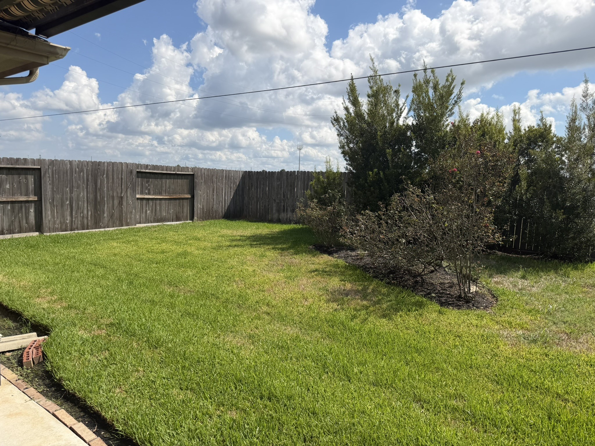 21406 Avalon Queen Drive Property Photo 32