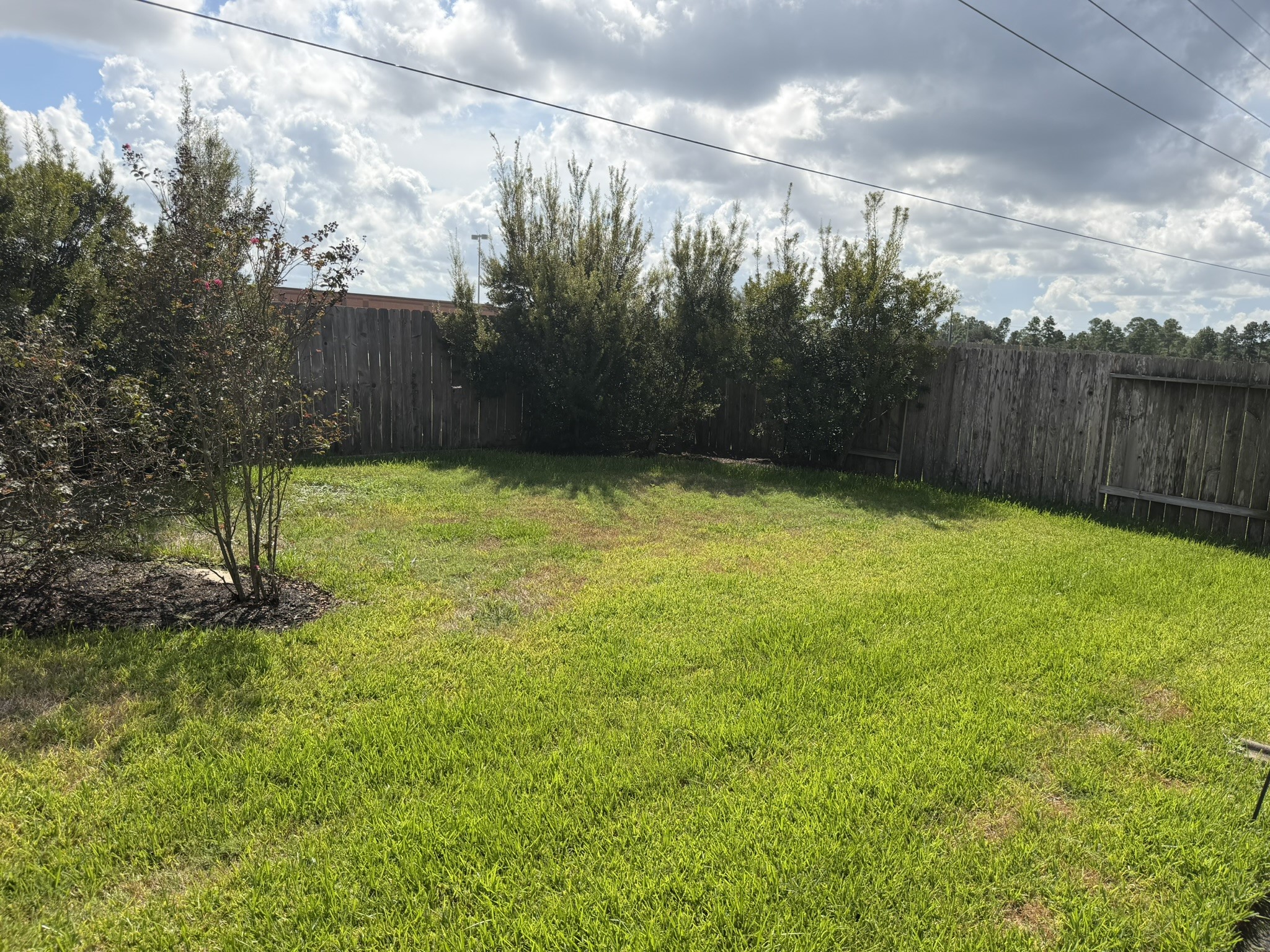21406 Avalon Queen Drive Property Photo 33