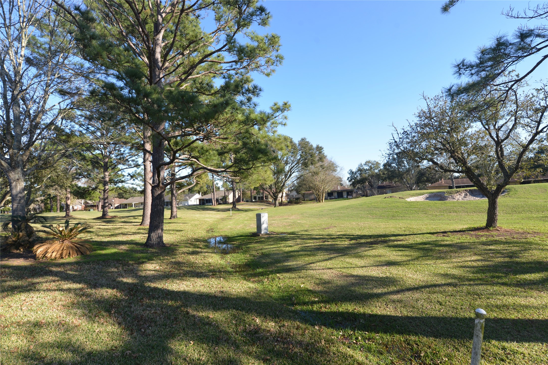810 Birchview Court Property Photo 6