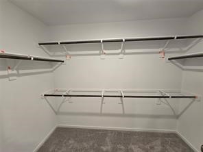 2619 Rain Quail Court Property Photo 8