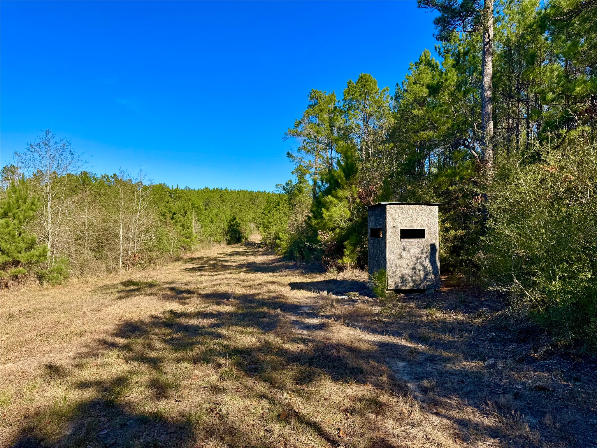 2845 County Road Property Photo 4