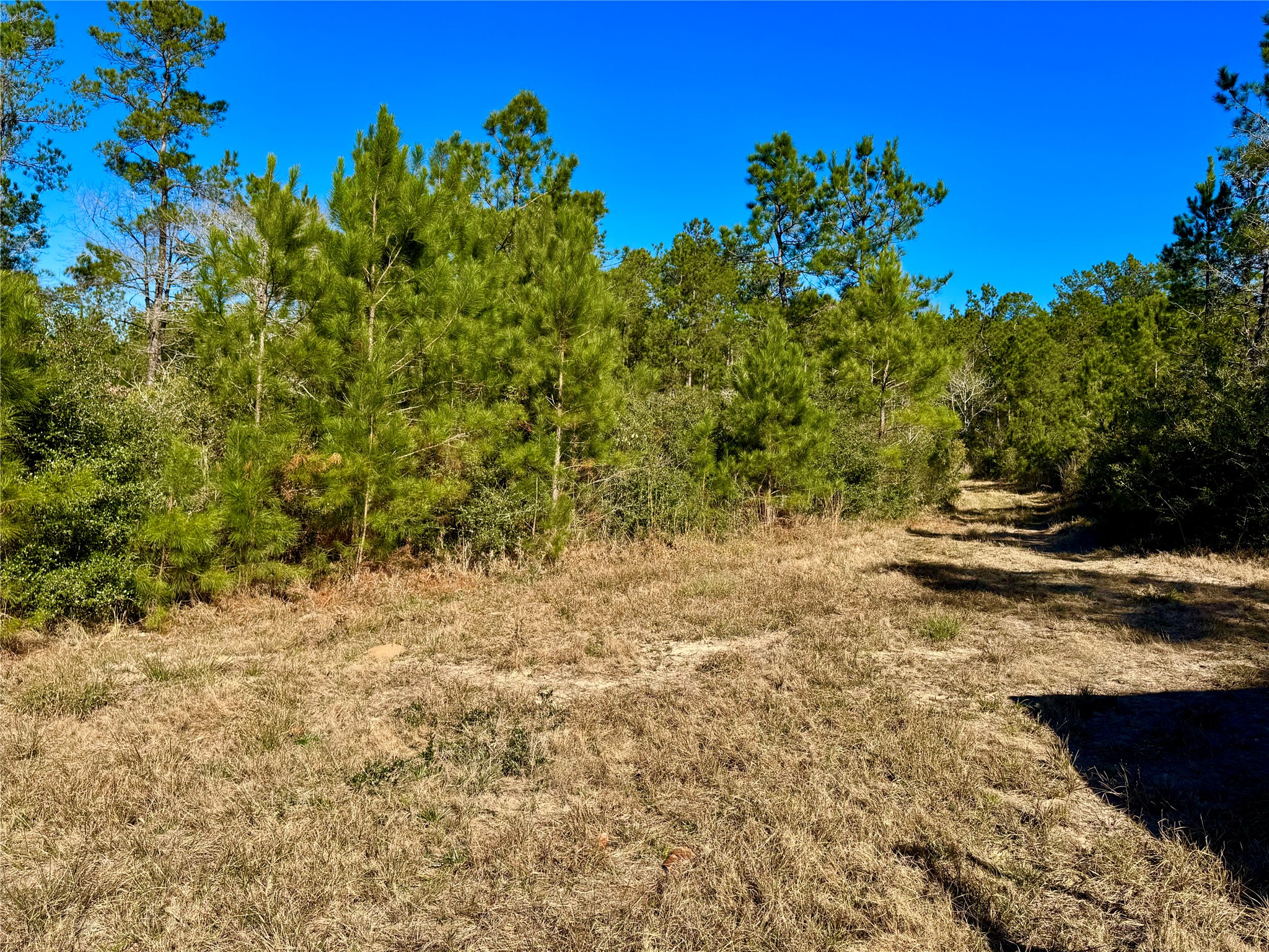 2845 County Road Property Photo 5