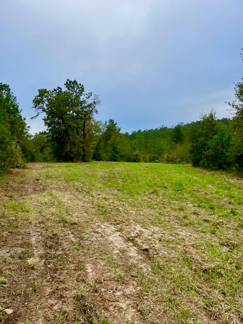 2845 County Road Property Photo 6