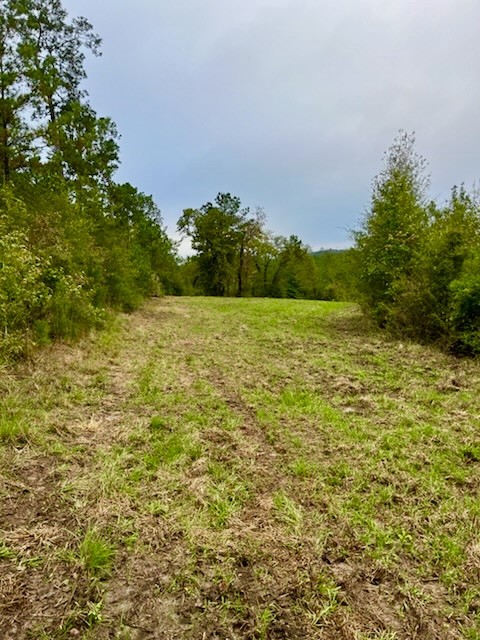 2845 County Road Property Photo 7
