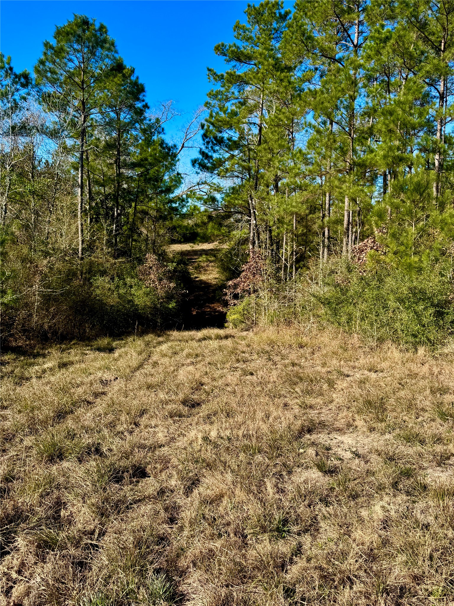2845 County Road Property Photo 12