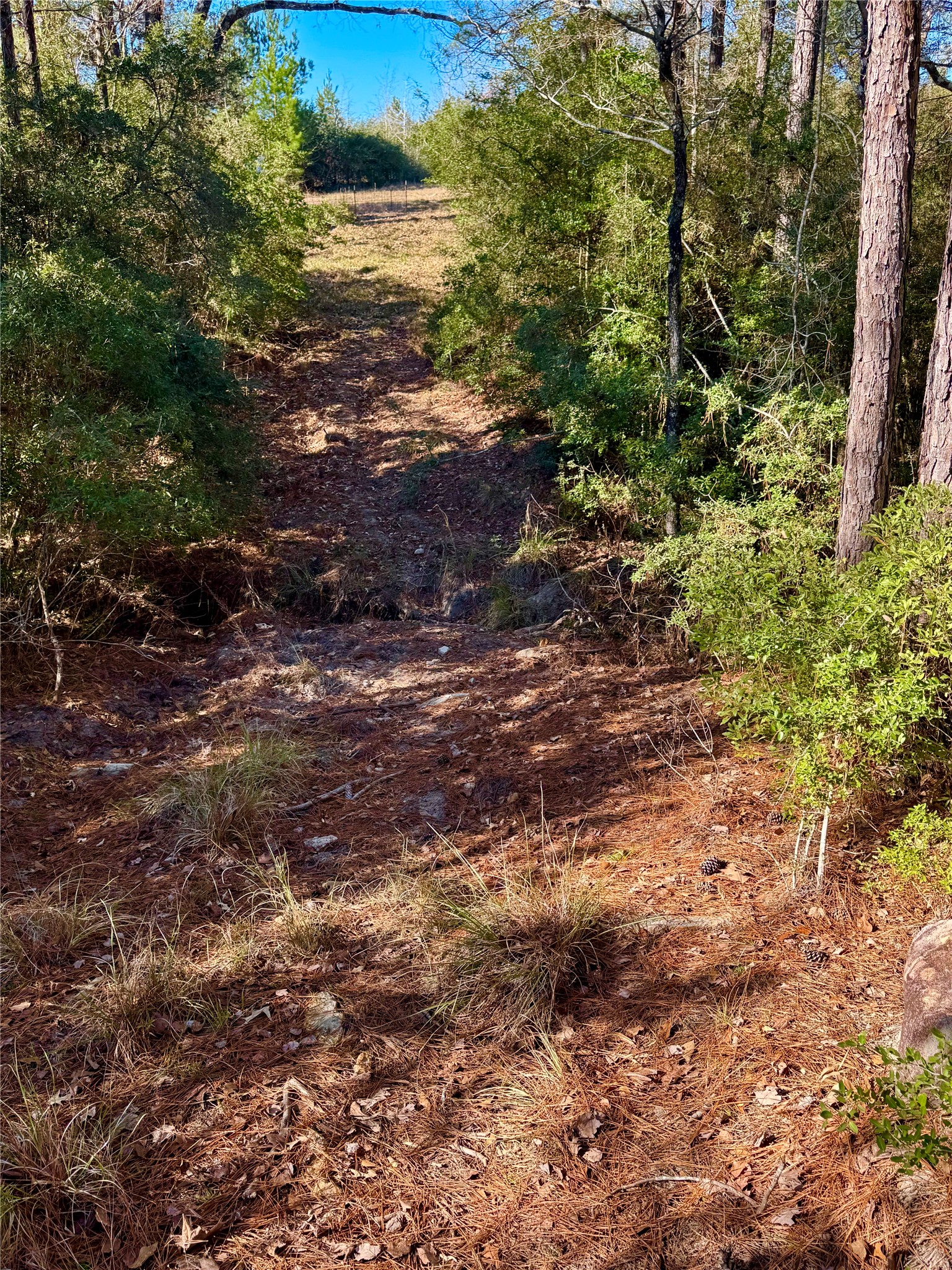 2845 County Road Property Photo 13