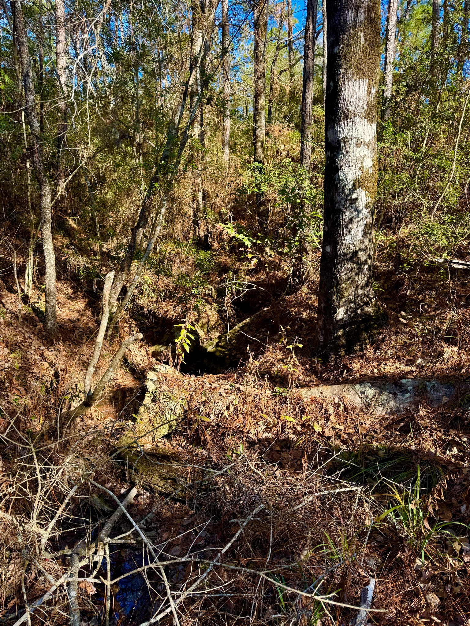 2845 County Road Property Photo 14