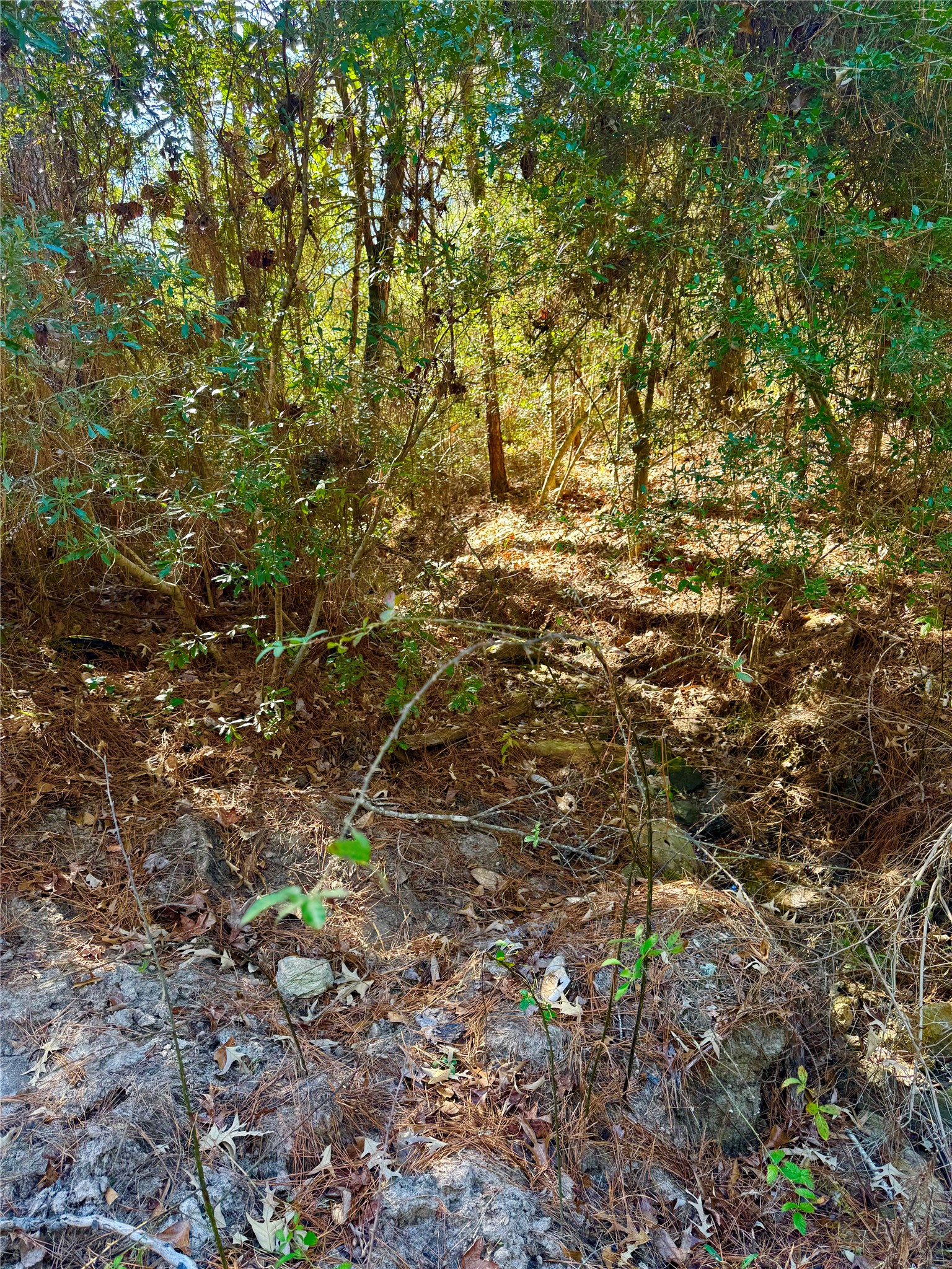 2845 County Road Property Photo 15