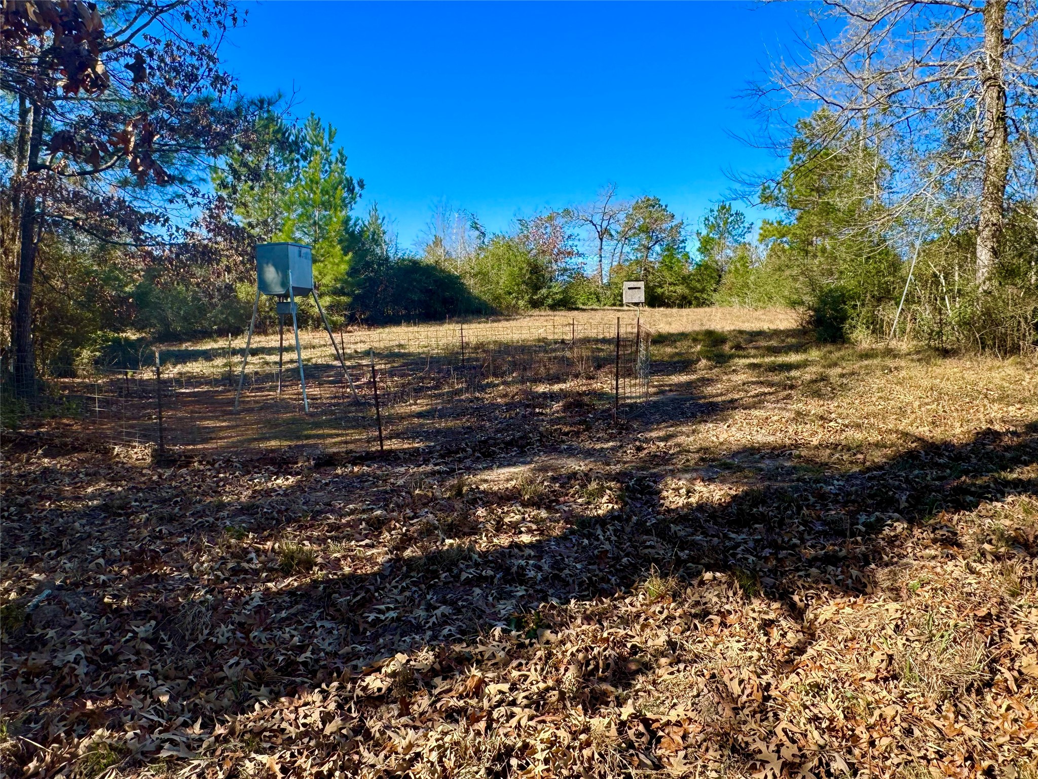 2845 County Road Property Photo 16