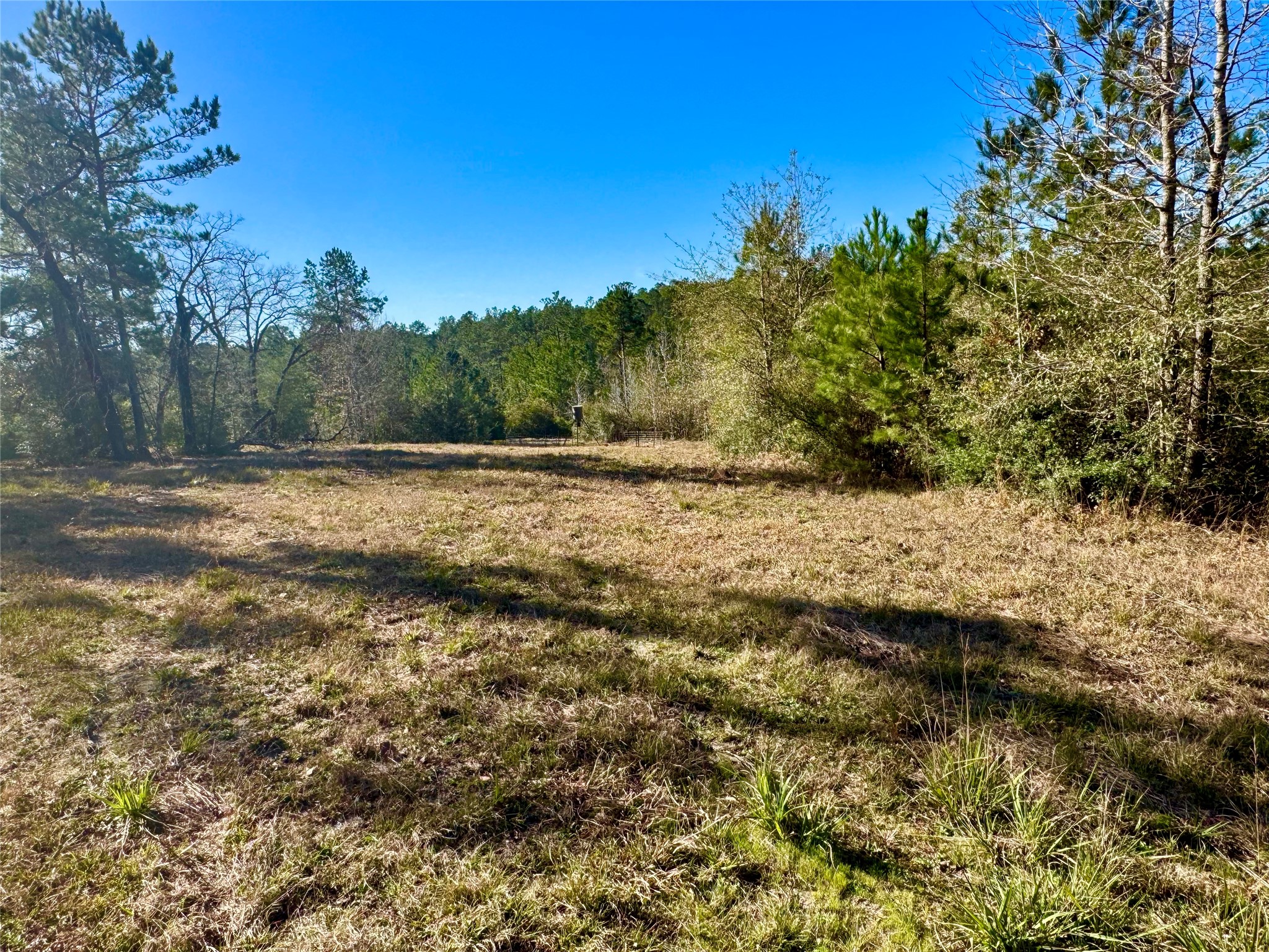 2845 County Road Property Photo 17