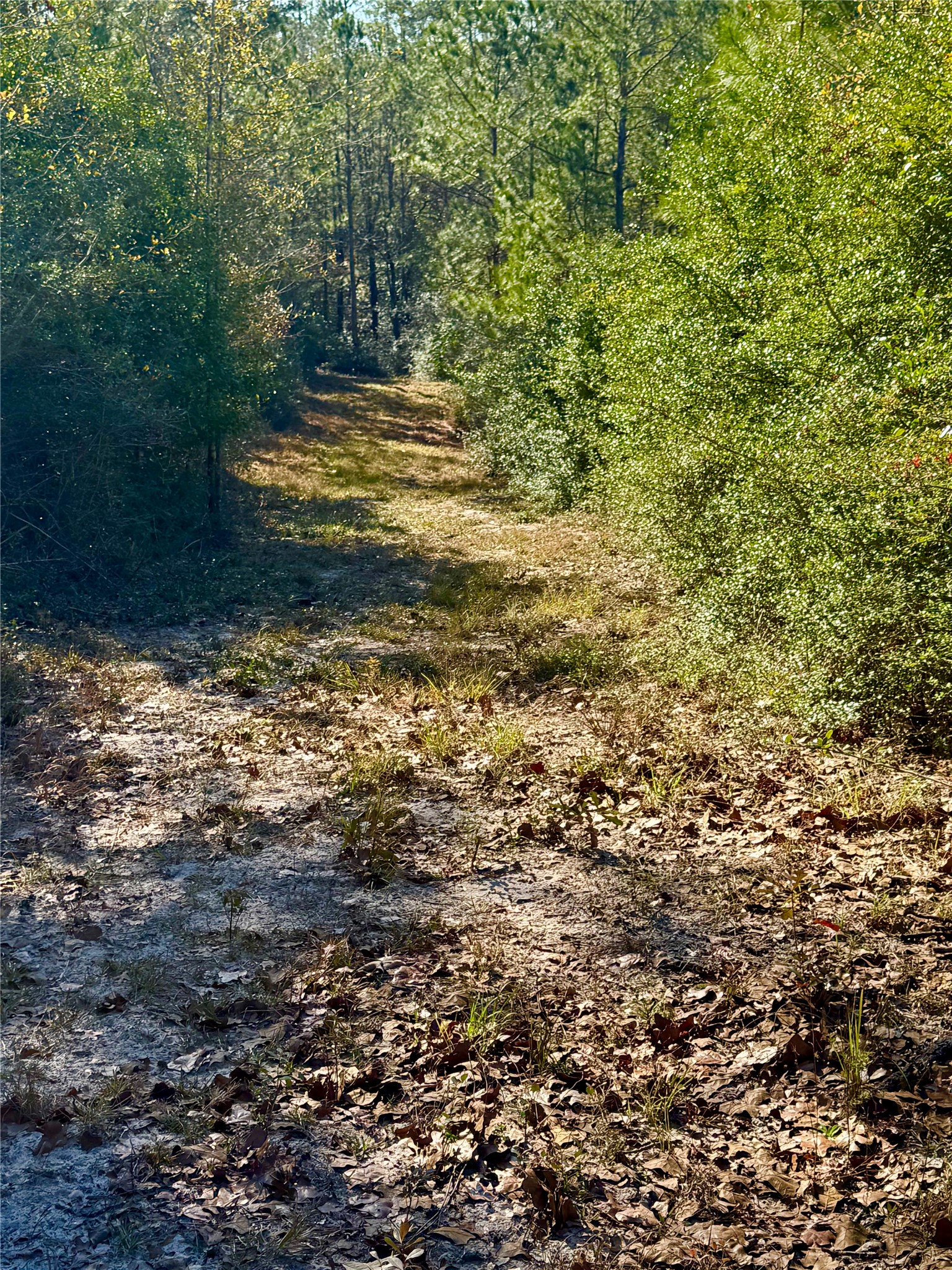 2845 County Road Property Photo 19