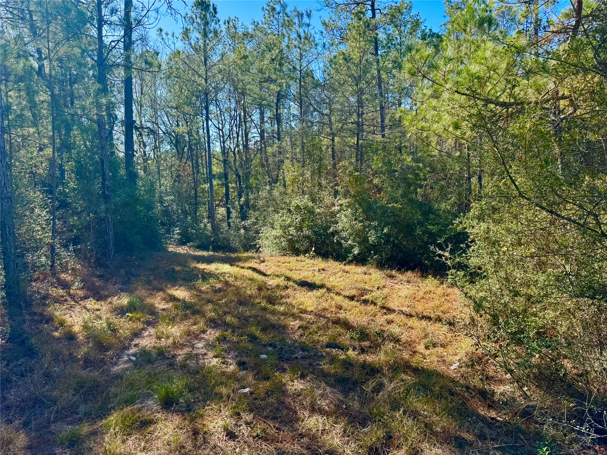 2845 County Road Property Photo 20