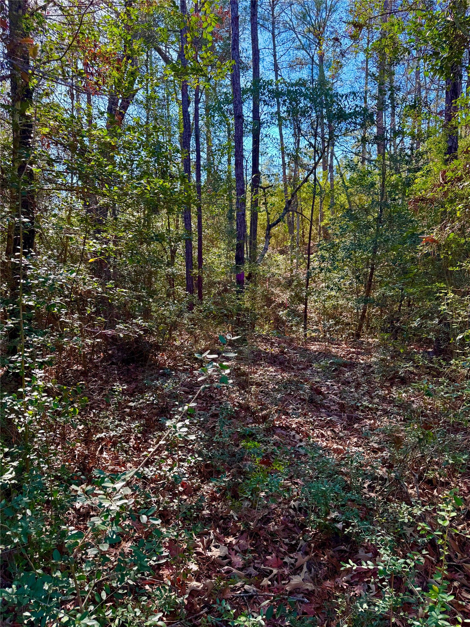 2845 County Road Property Photo 21