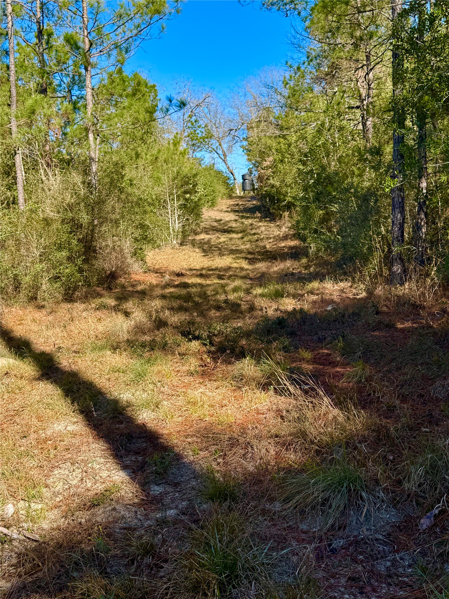 2845 County Road Property Photo 24