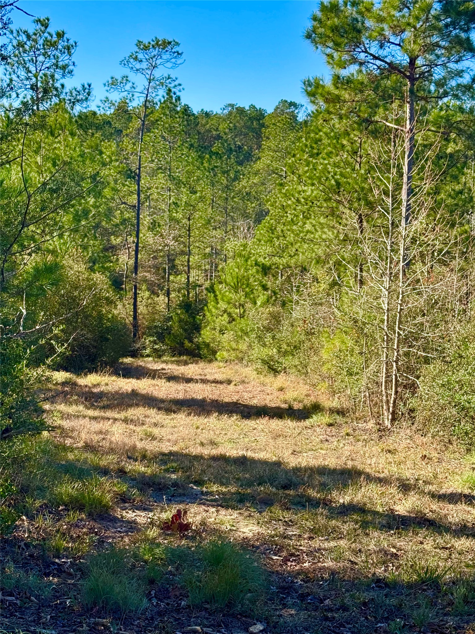 2845 County Road Property Photo 27