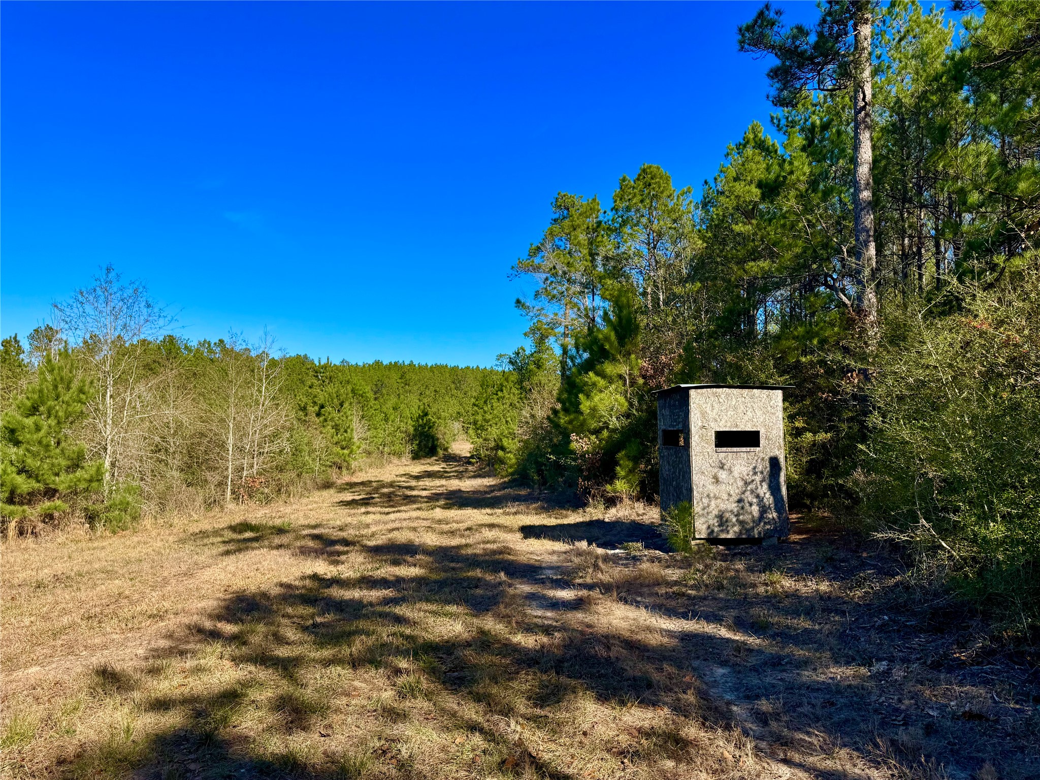 2845 County Road Property Photo 30