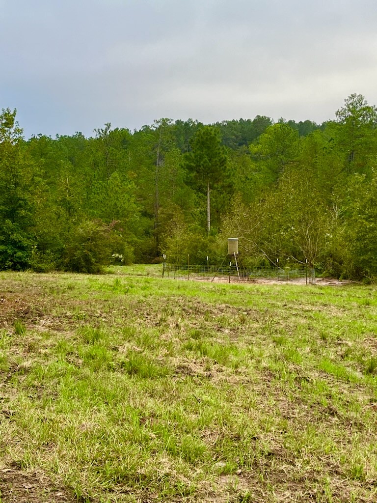 2845 County Road Property Photo 31