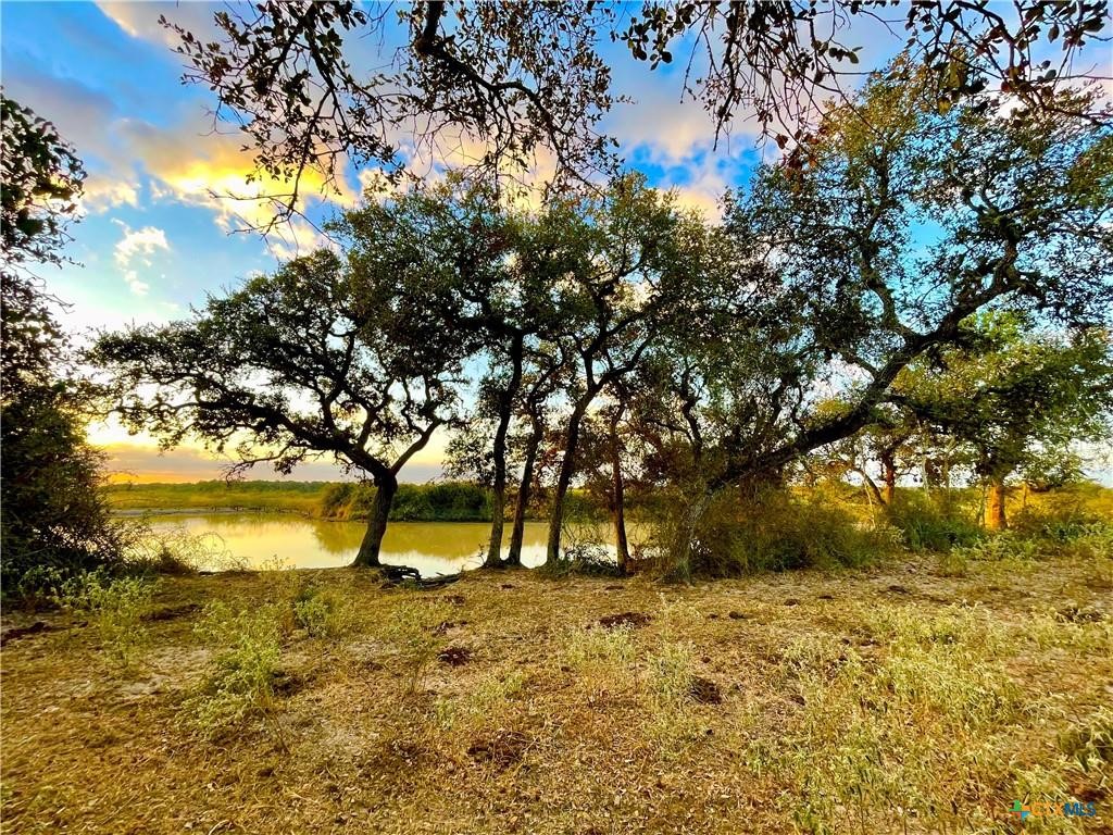Tbd Fm-530 Property Photo 8