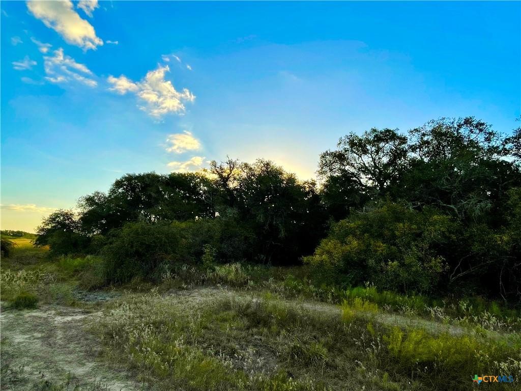 Tbd Fm-530 Property Photo 26