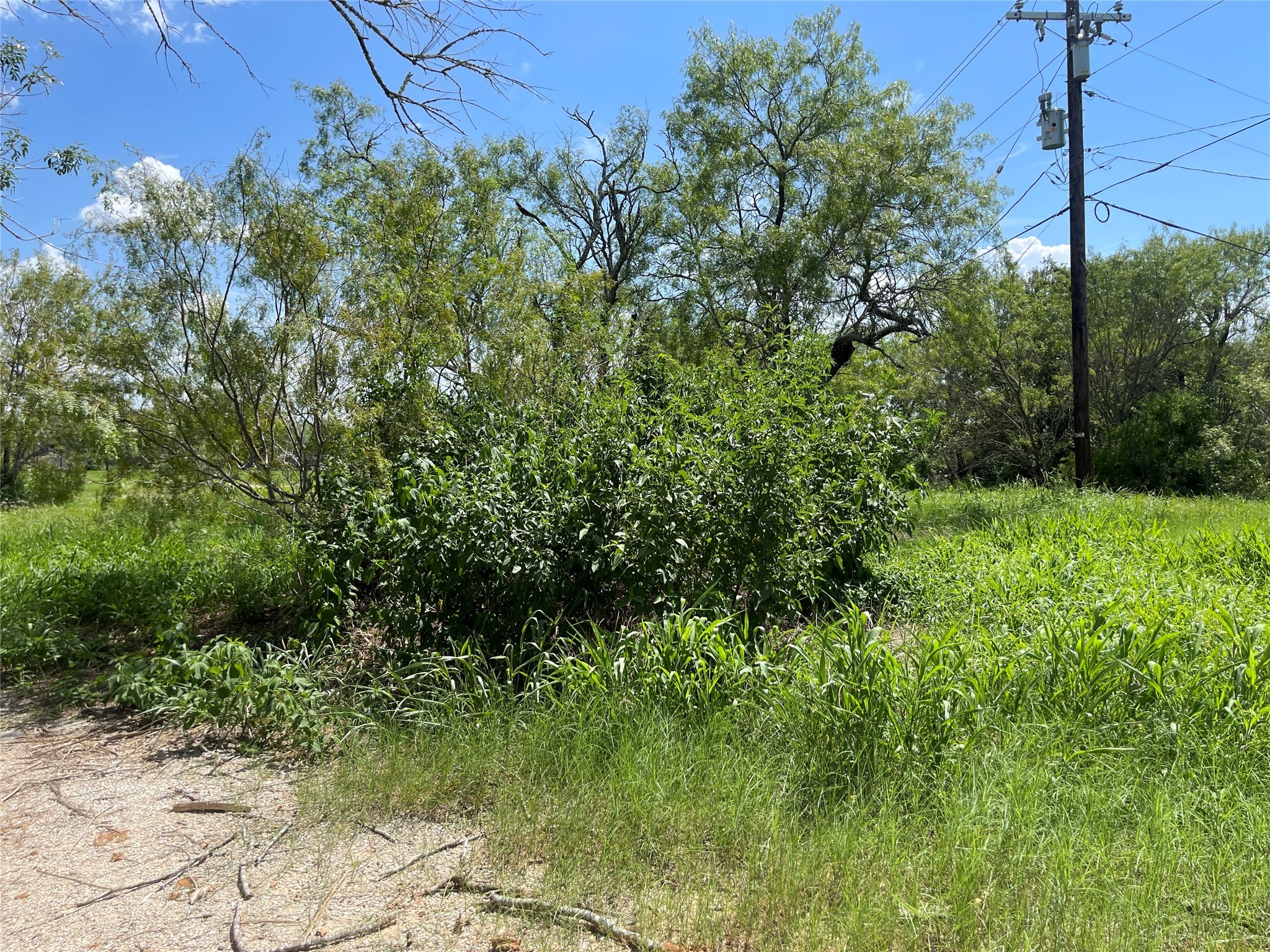 390 Bell Road Property Photo 3