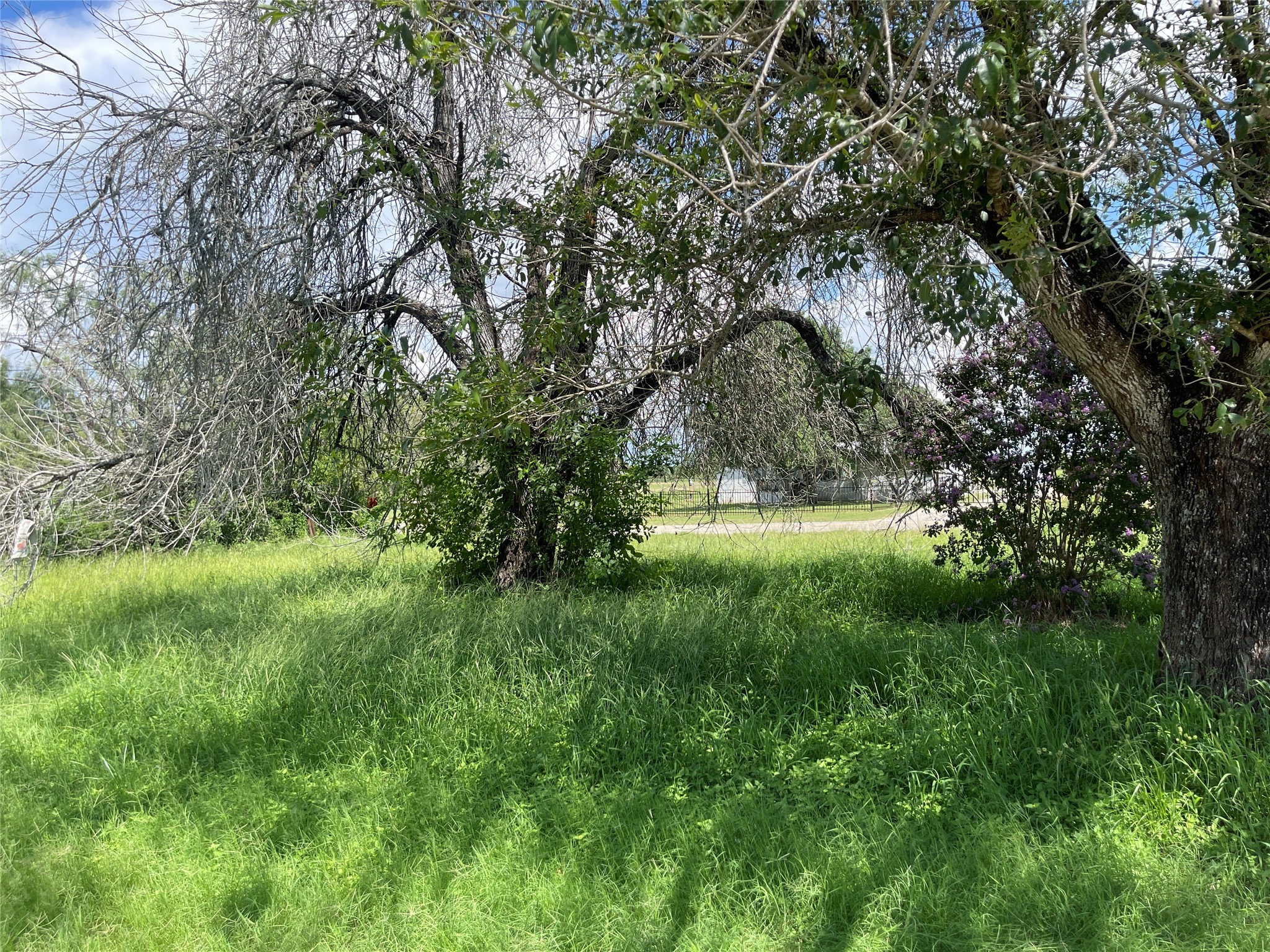 390 Bell Road Property Photo 4