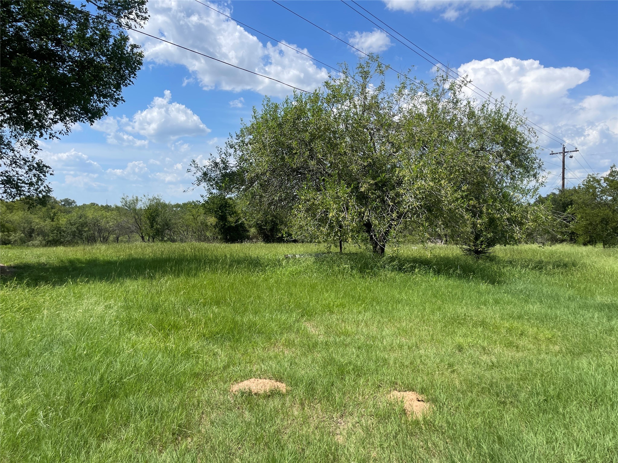 390 Bell Road Property Photo 6