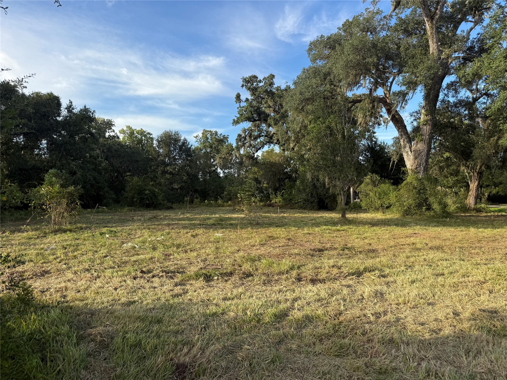 0 County Road 678 Property Photo 1