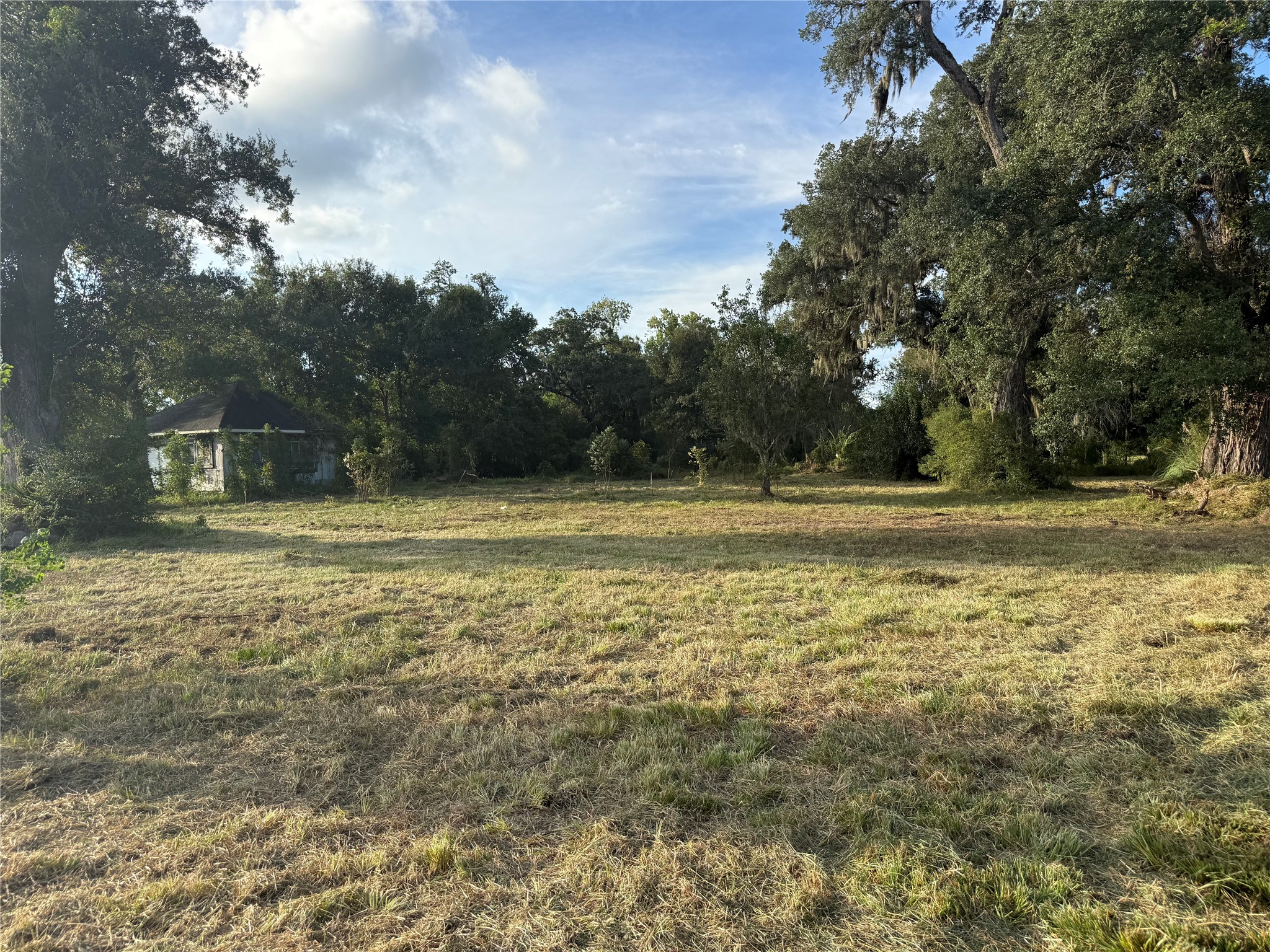 0 County Road 678 Property Photo 4