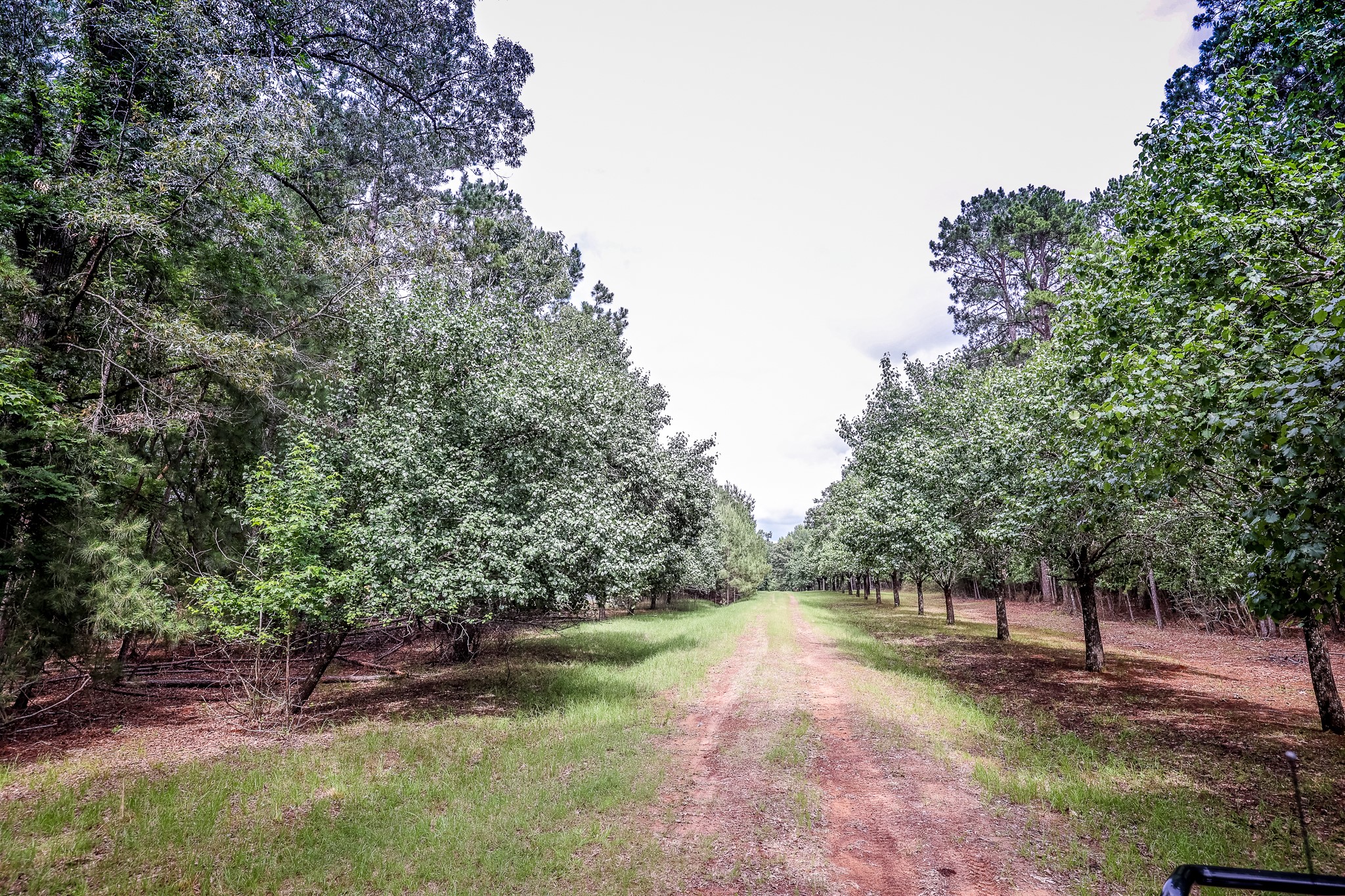 1288 Harkins Lane Property Photo 1