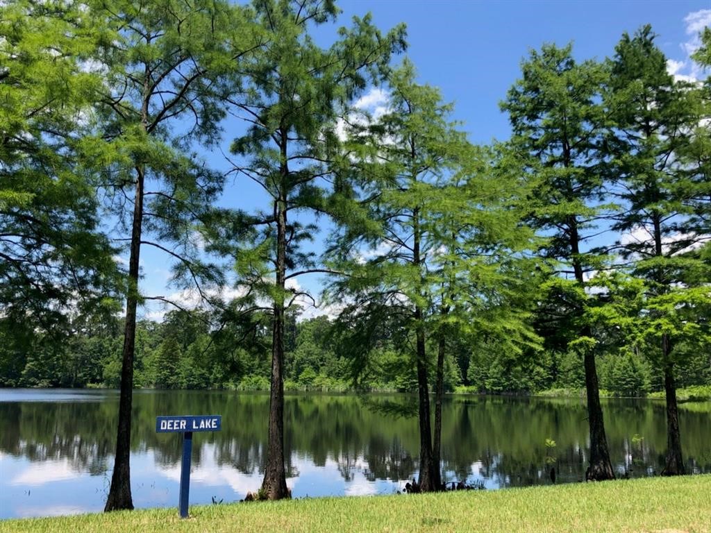 504 Bristol Tide Court Property Photo 23