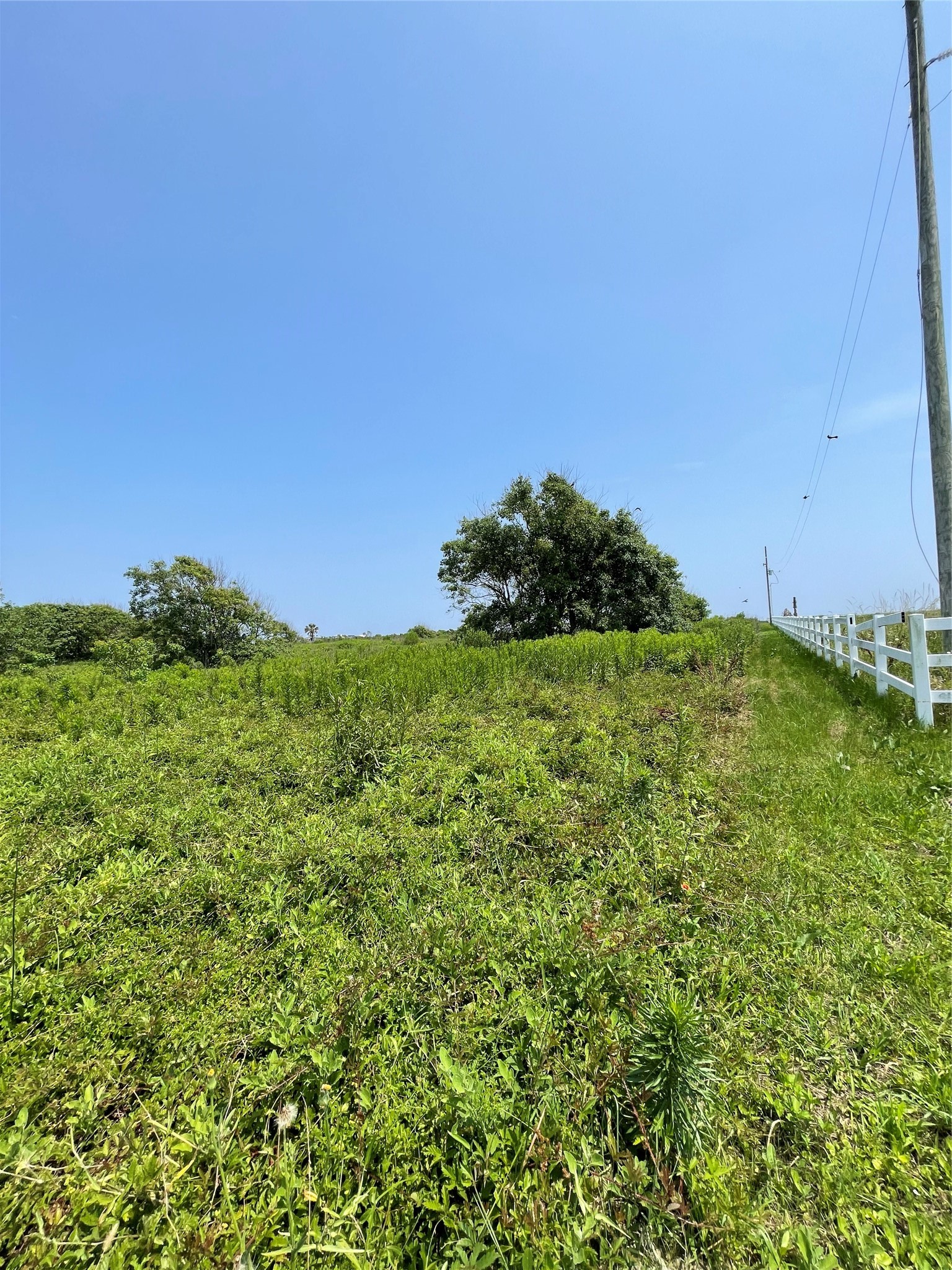 672 Hwy 87 Property Photo 1