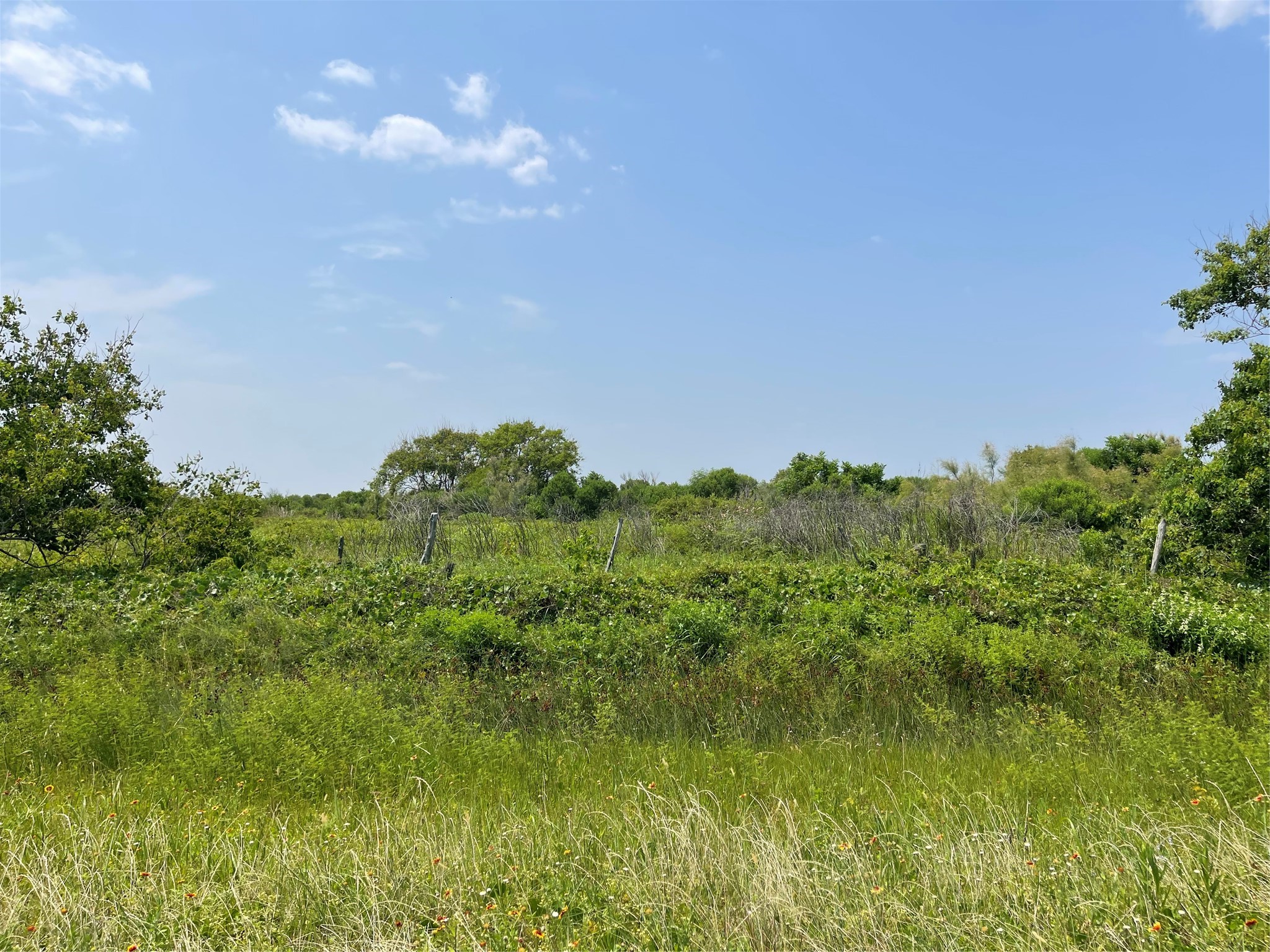 672 Hwy 87 Property Photo 4
