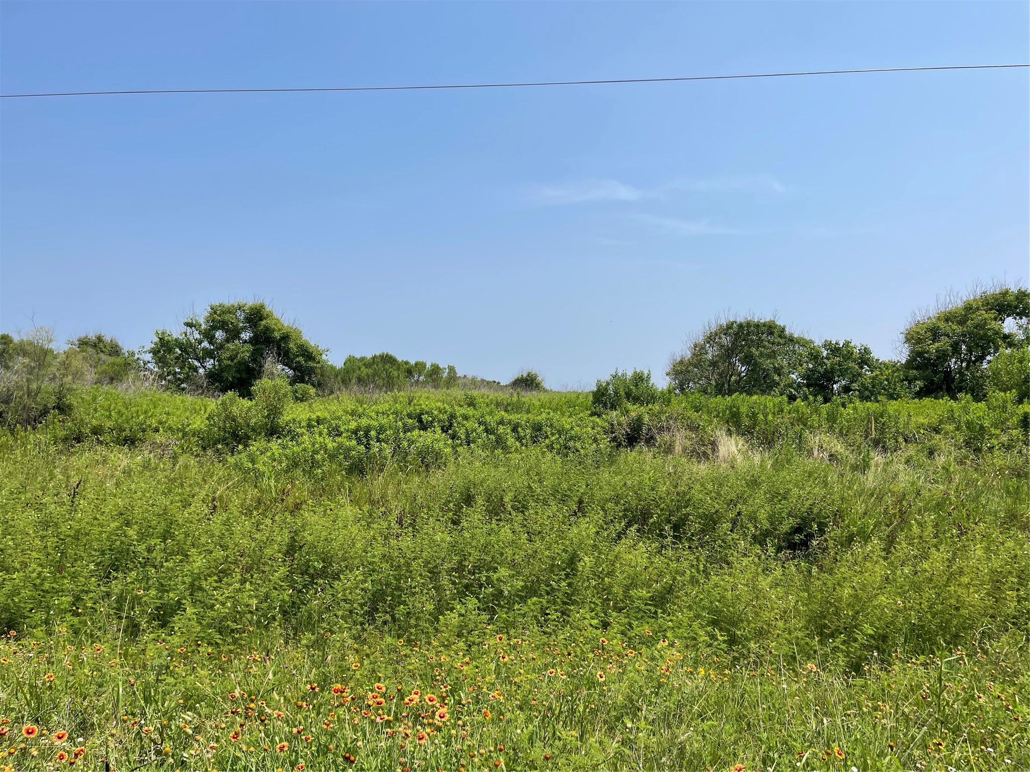 672 Hwy 87 Property Photo 5