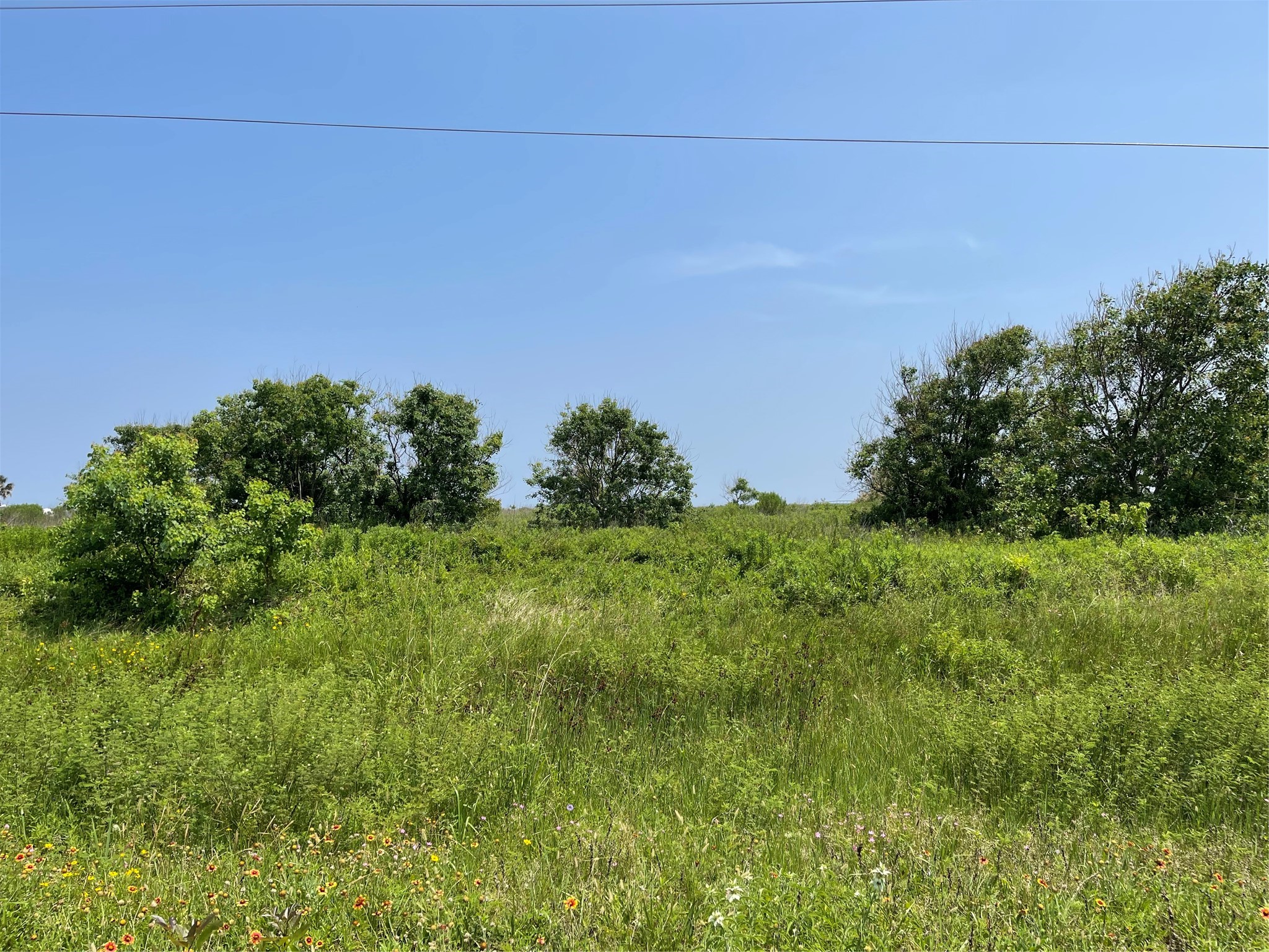 672 Hwy 87 Property Photo 6