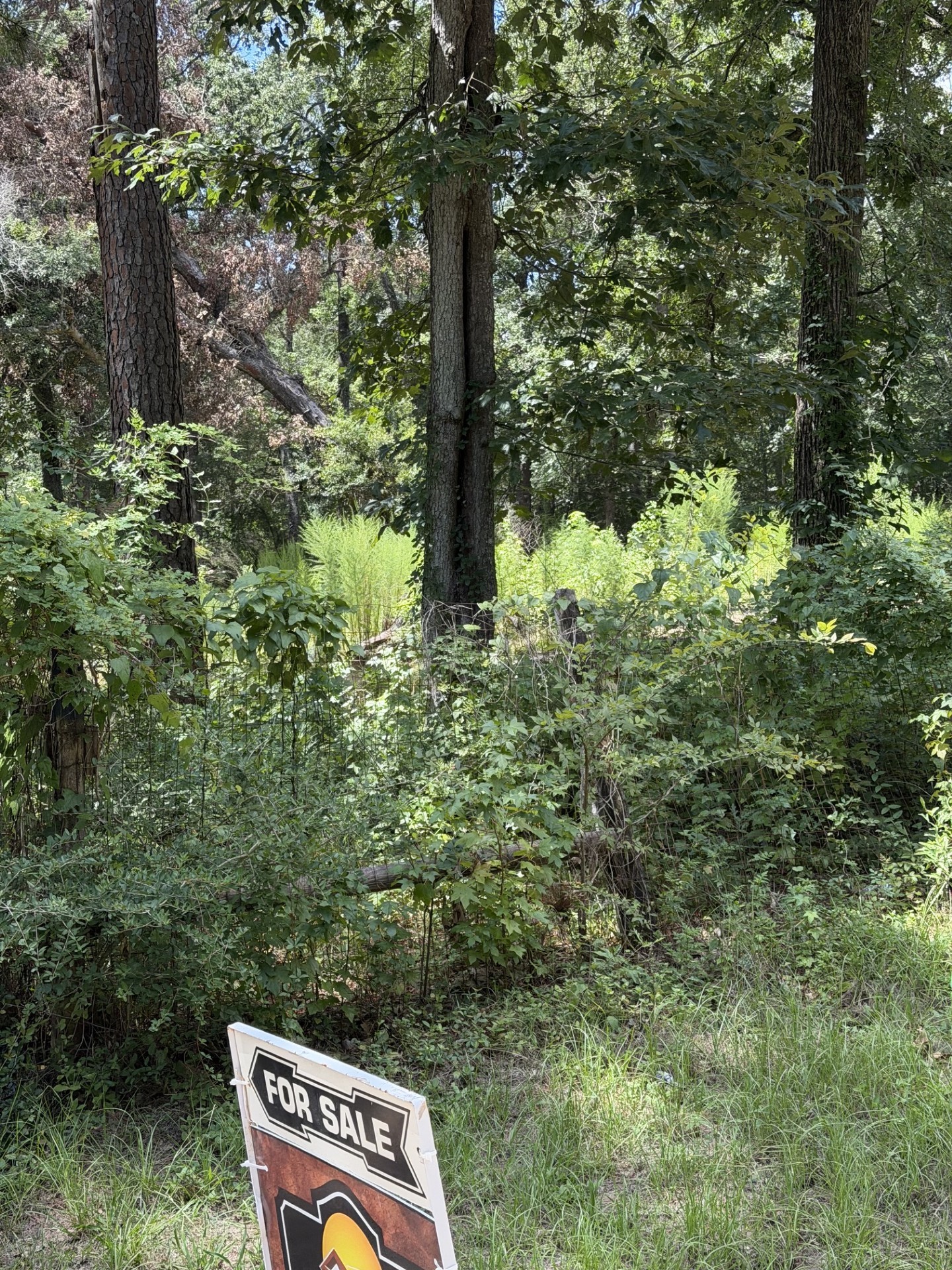 41502 S Buckhorn Lane Property Photo 6