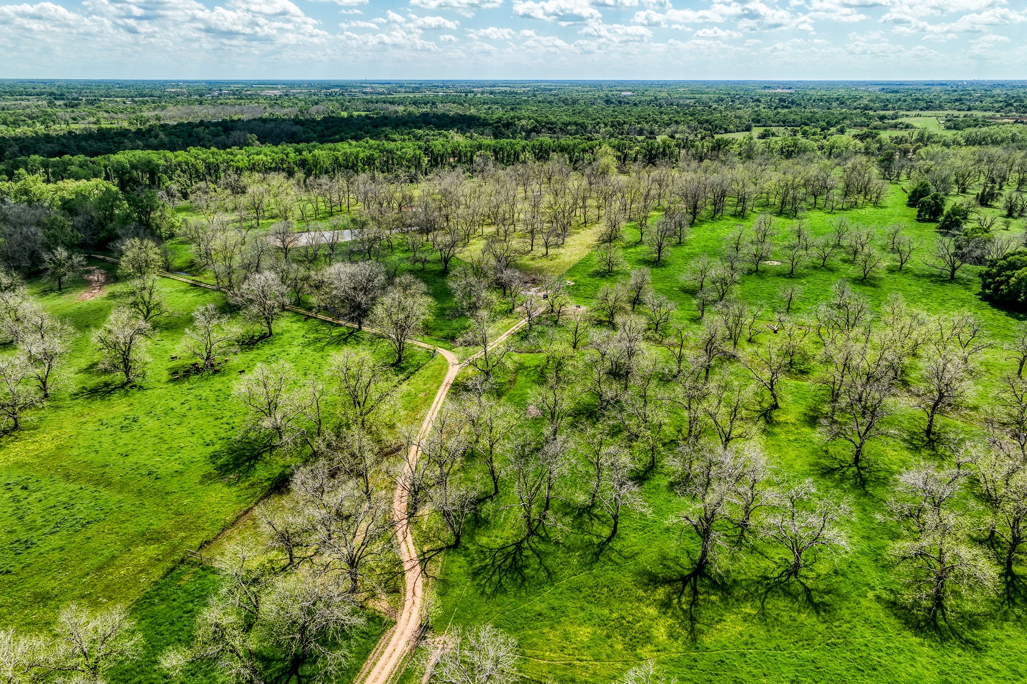42493 Fm 1458 A Road Property Photo 6