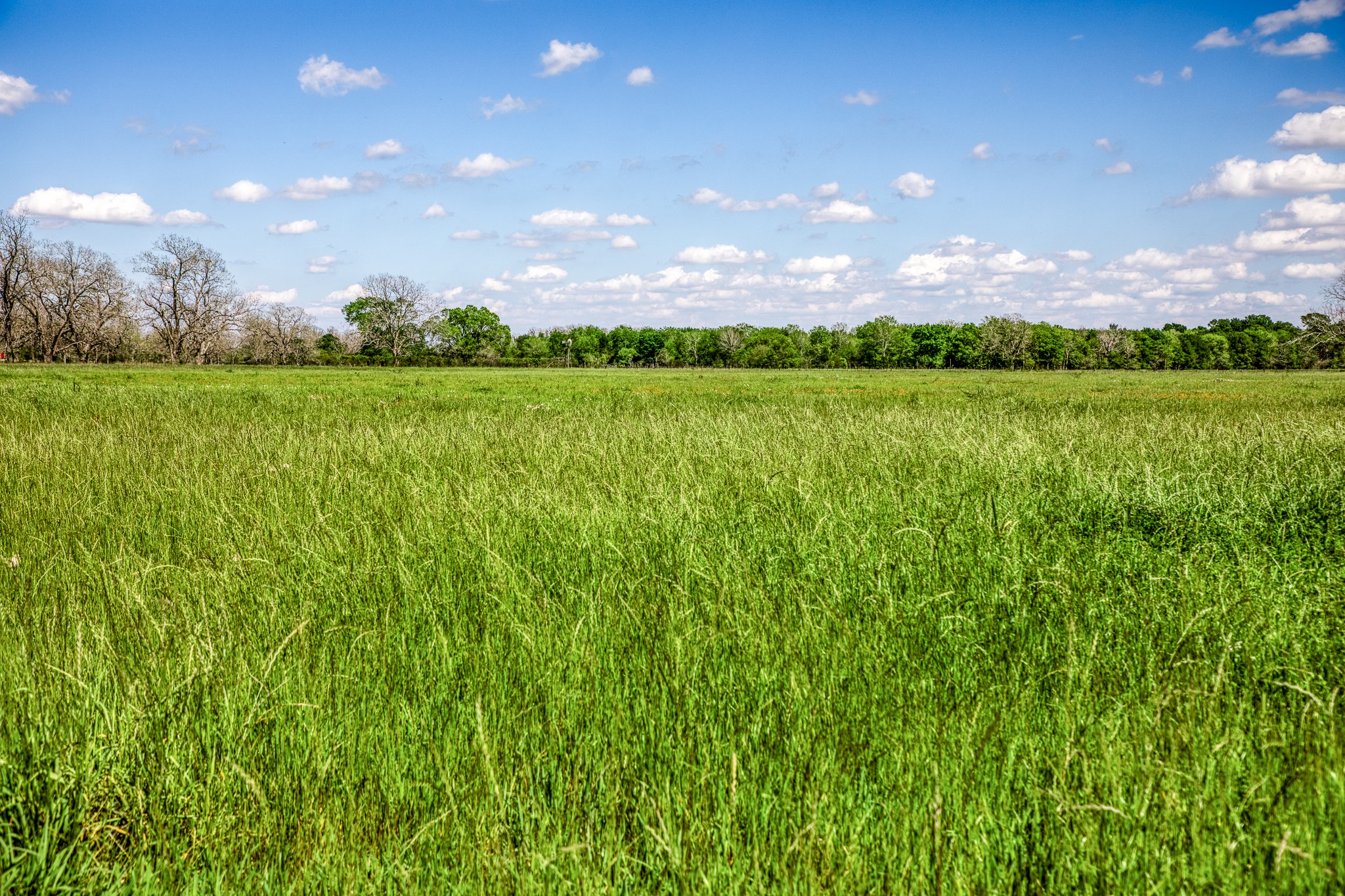 42493 Fm 1458 A Road Property Photo 43