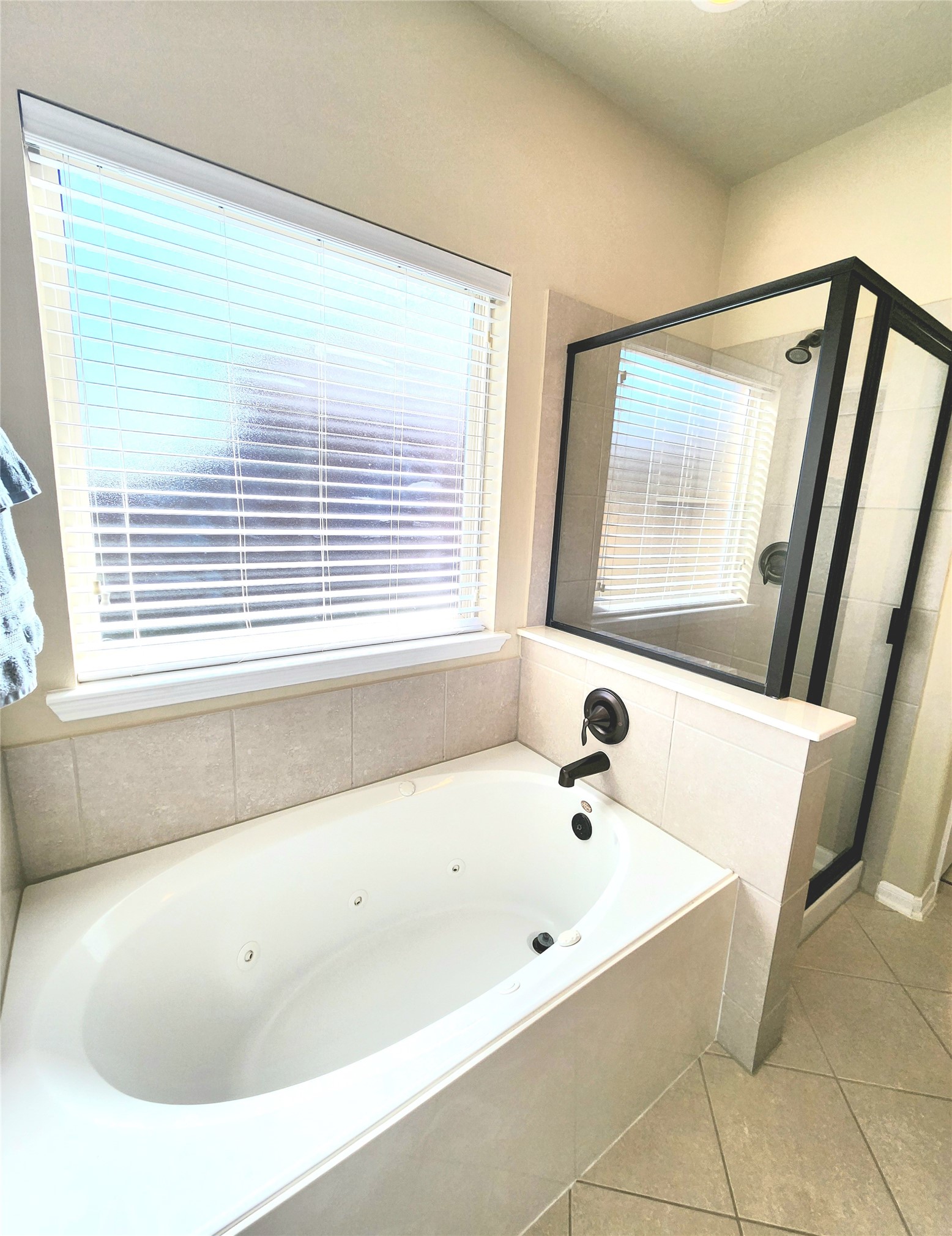 20607 Summer Retreat Lane Property Photo 21