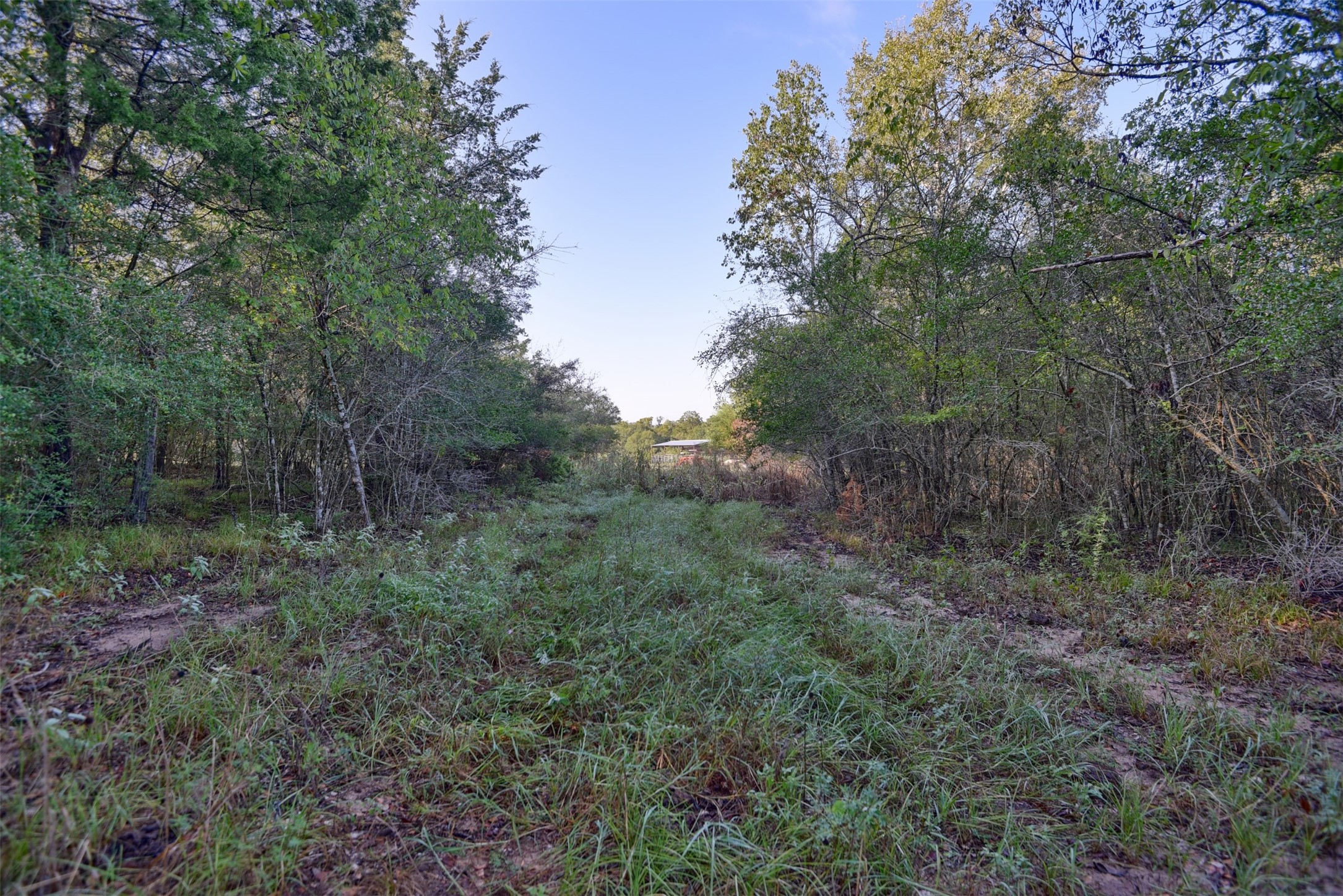 Tbd Trackside Road Property Photo 10