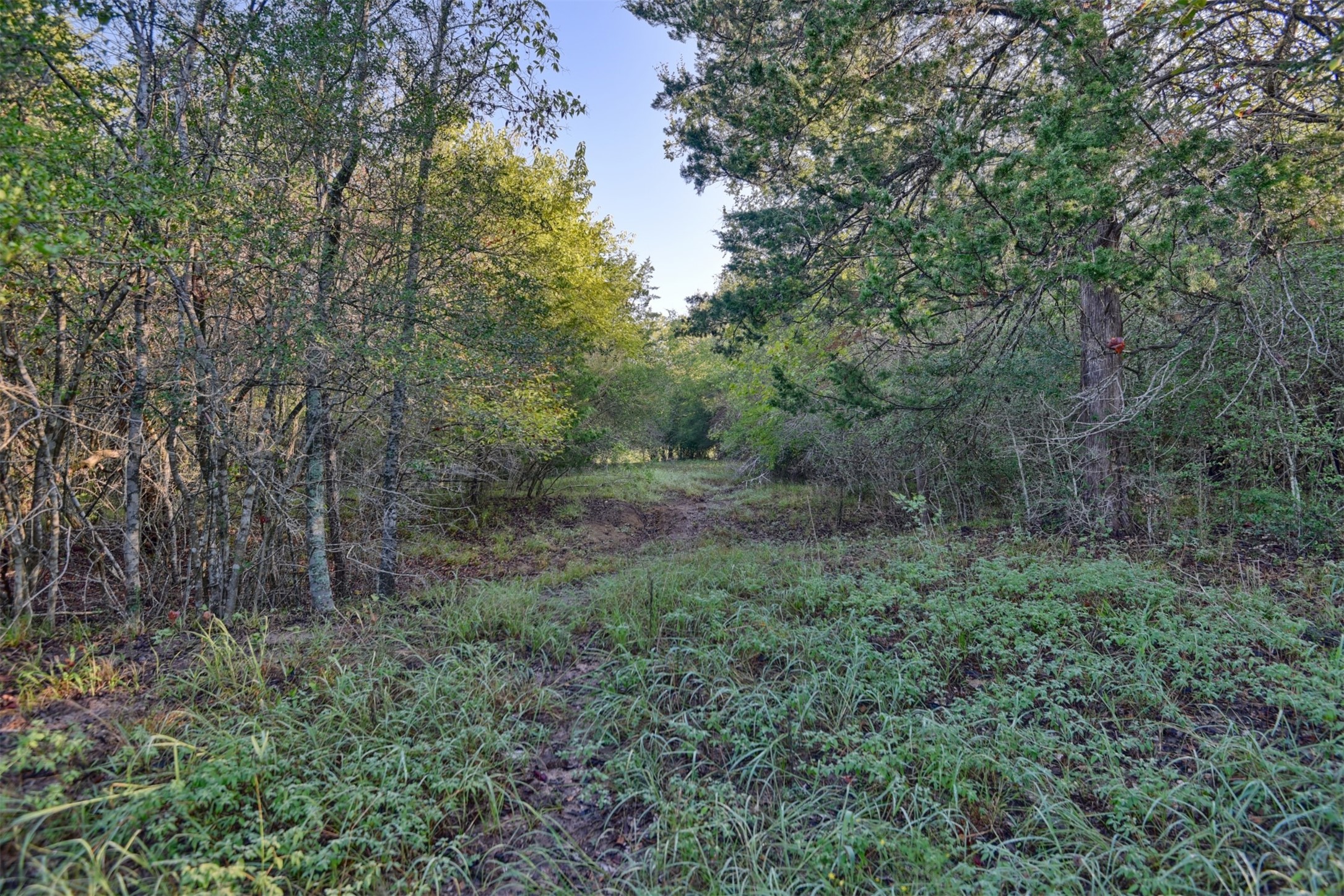 Tbd Trackside Road Property Photo 11