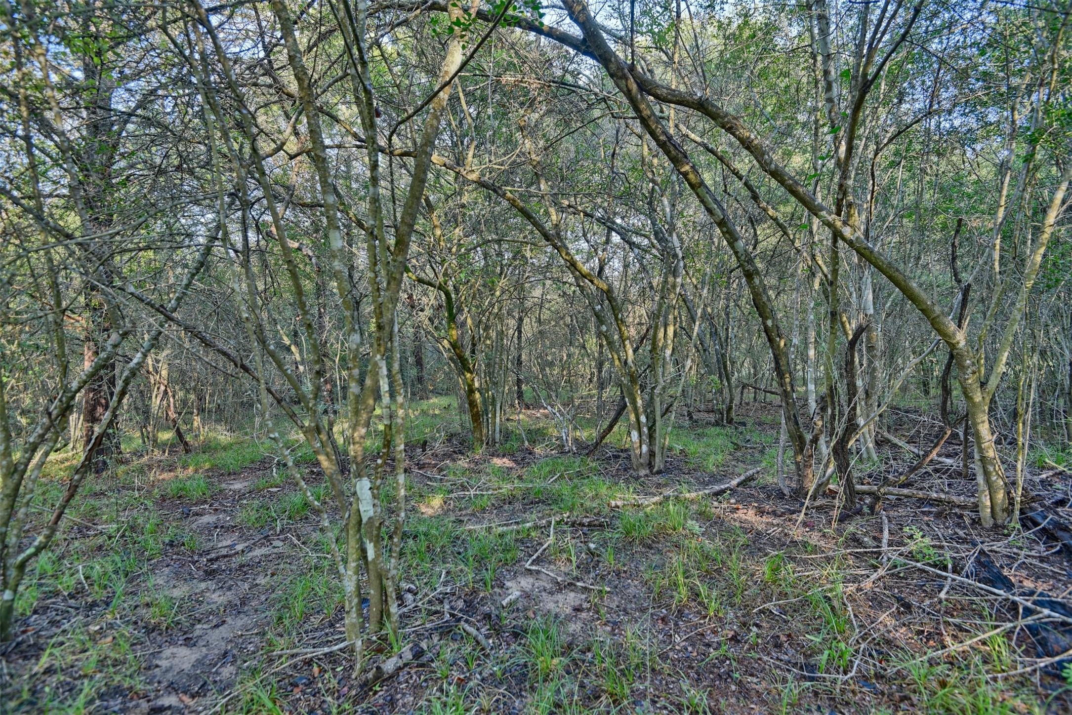 Tbd Trackside Road Property Photo 12