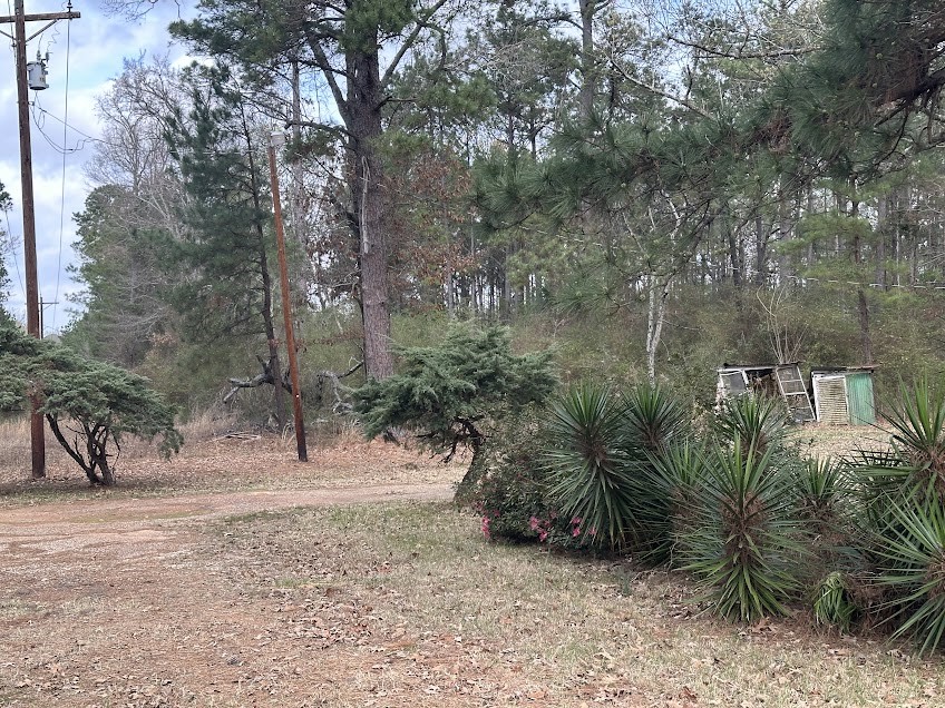 15981 Fm 31 Property Photo 10